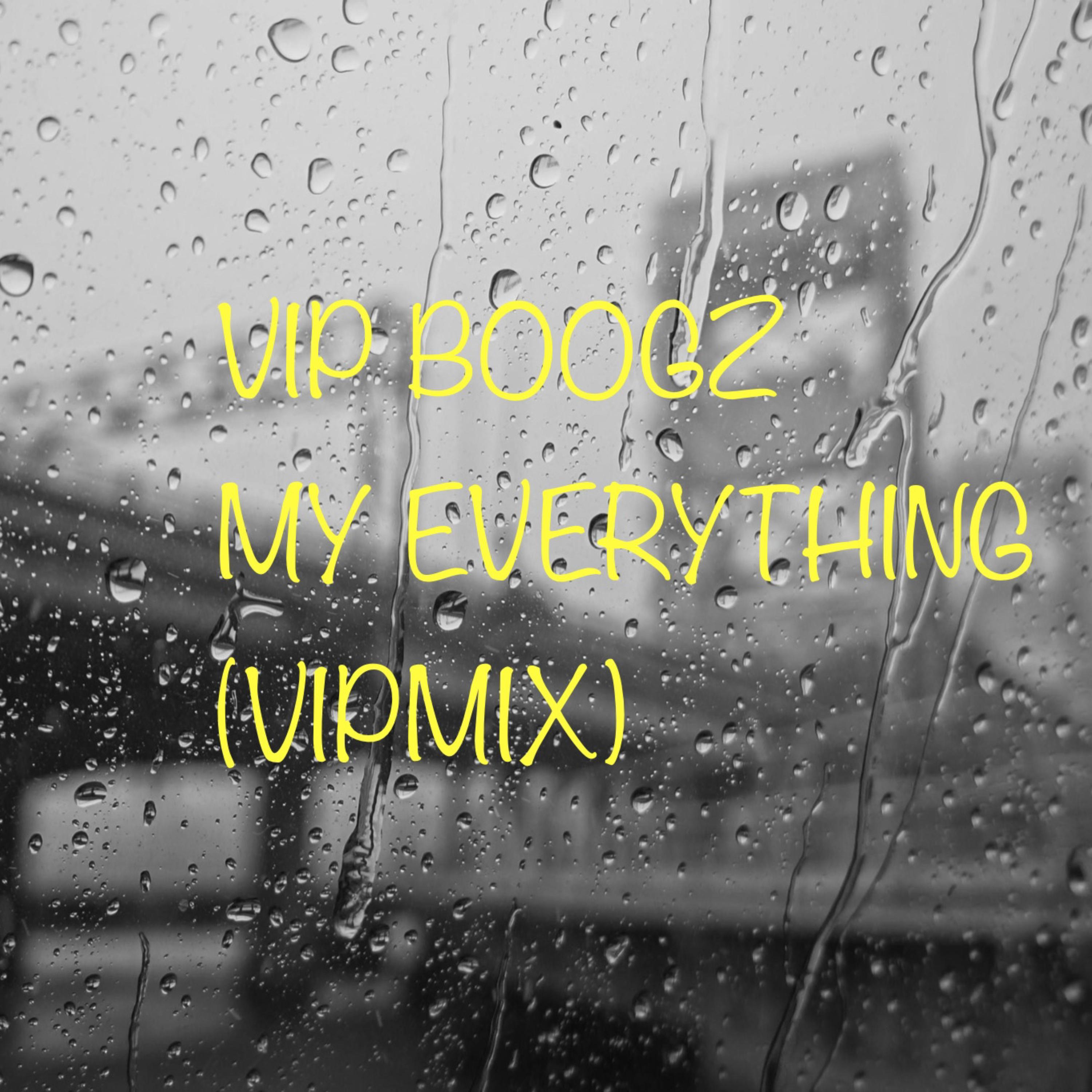 My Everything (VIPMIX) artwork