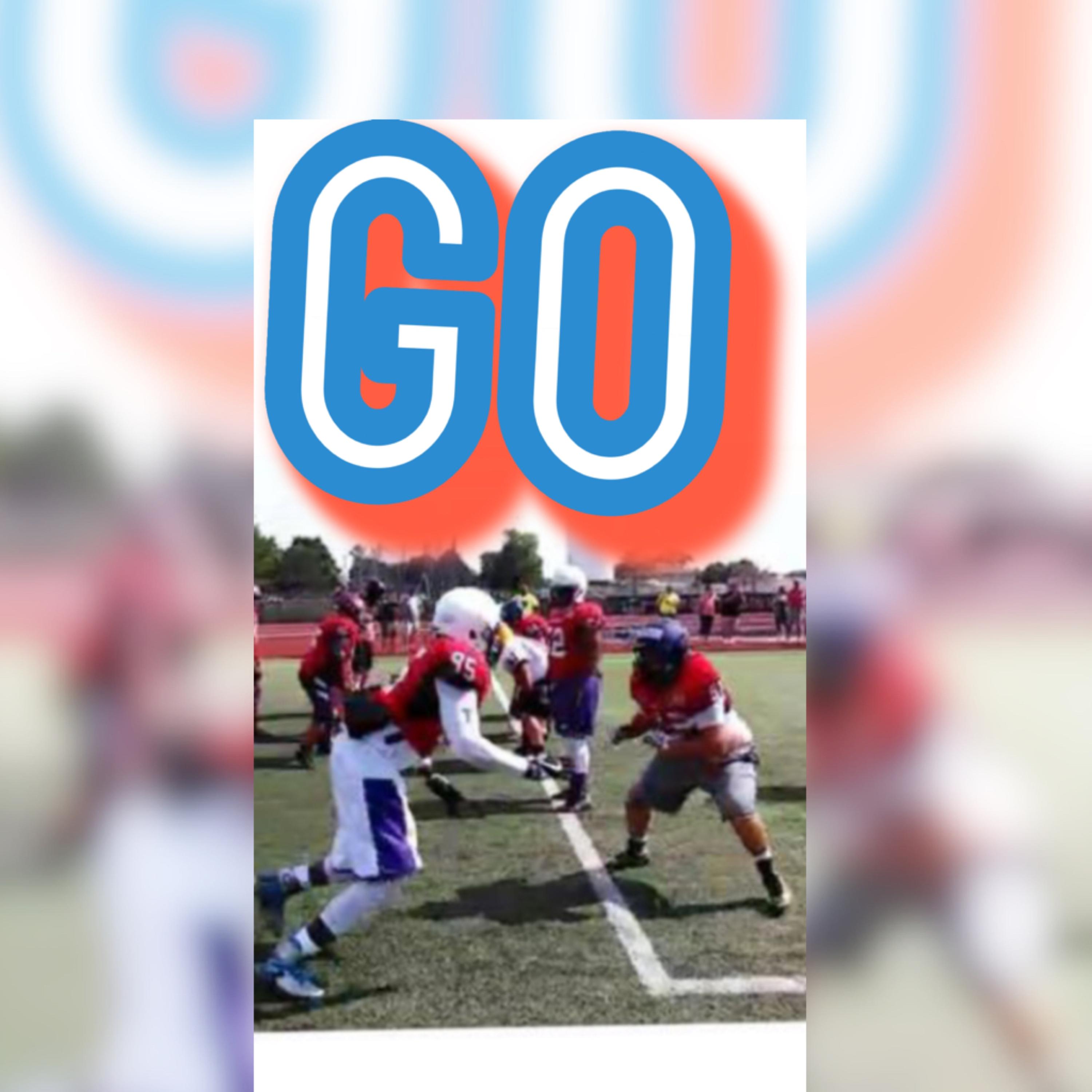 Go artwork