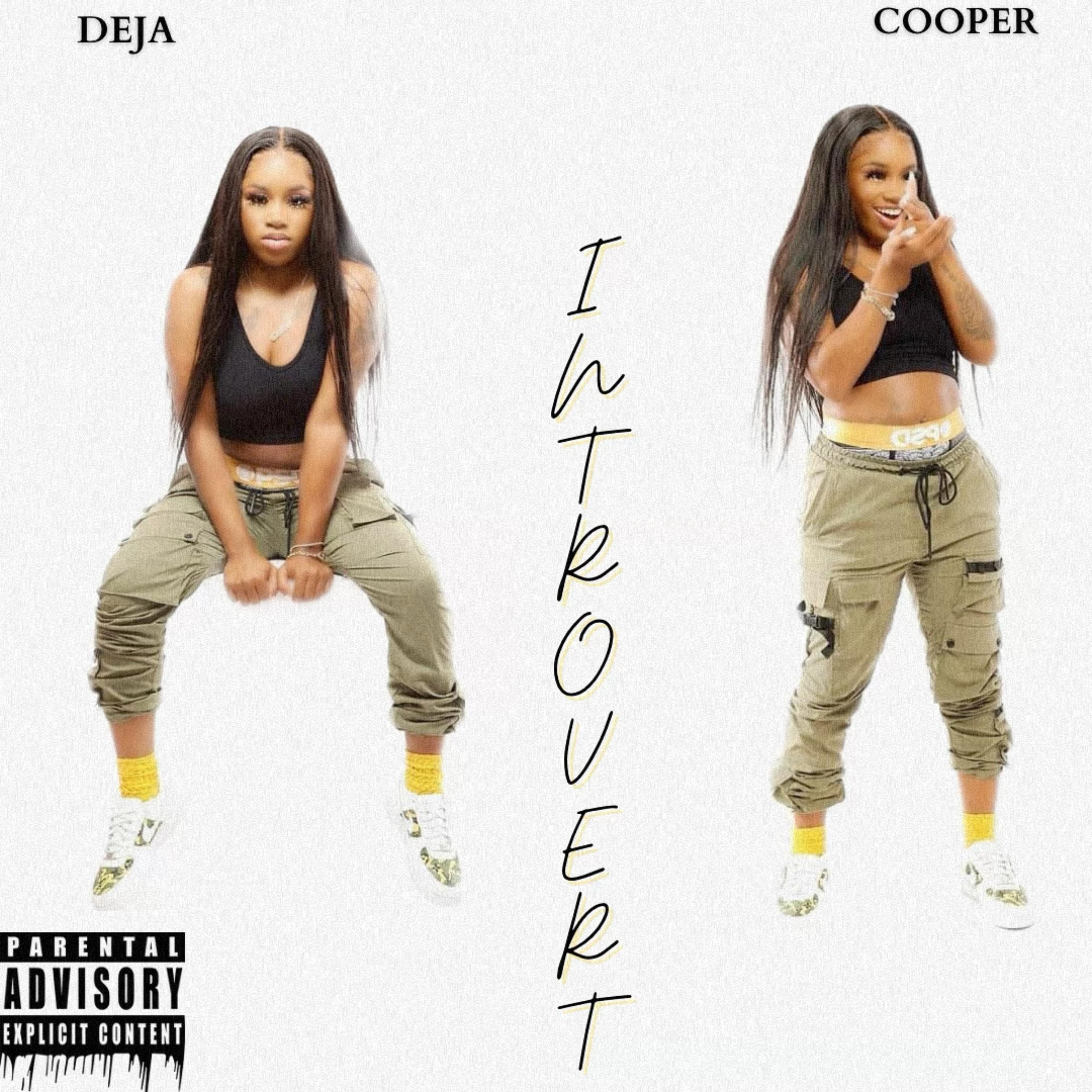 Introvert artwork