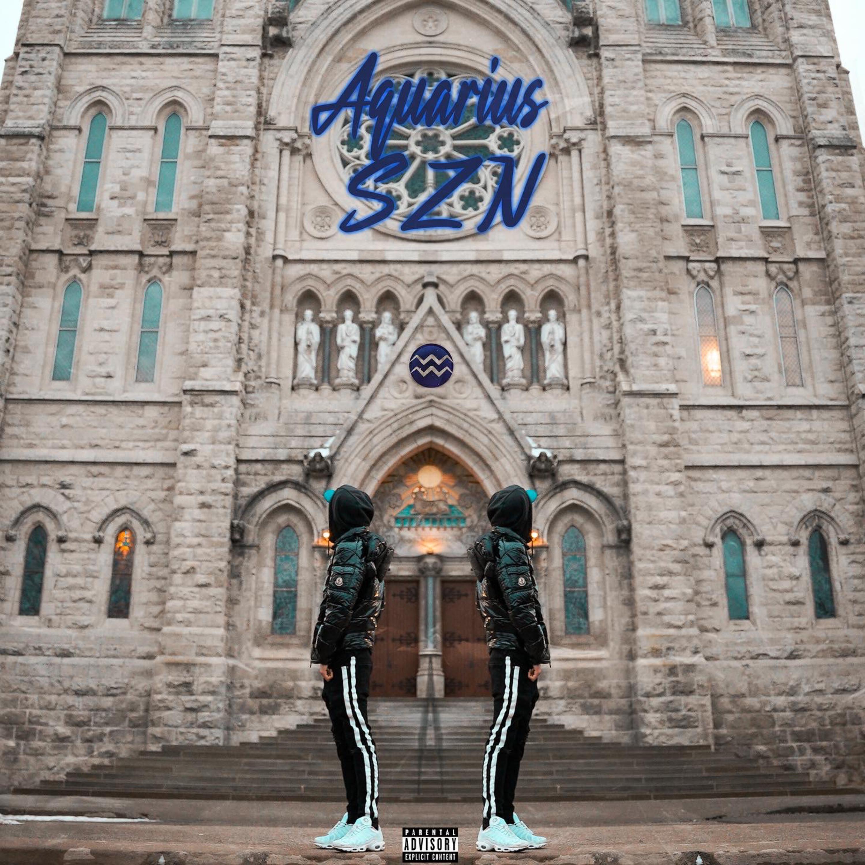 Aquarius SZN artwork