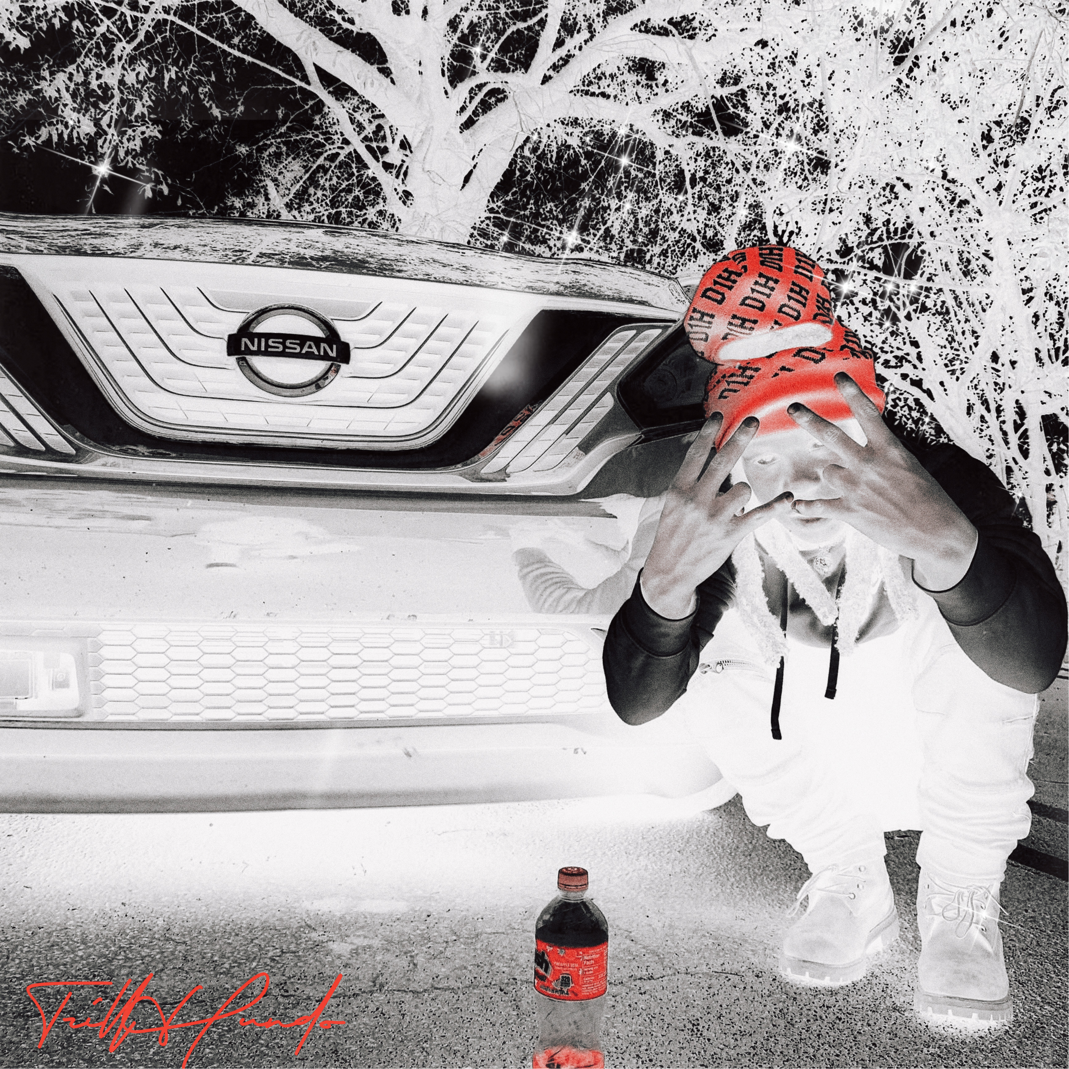 REEFA artwork