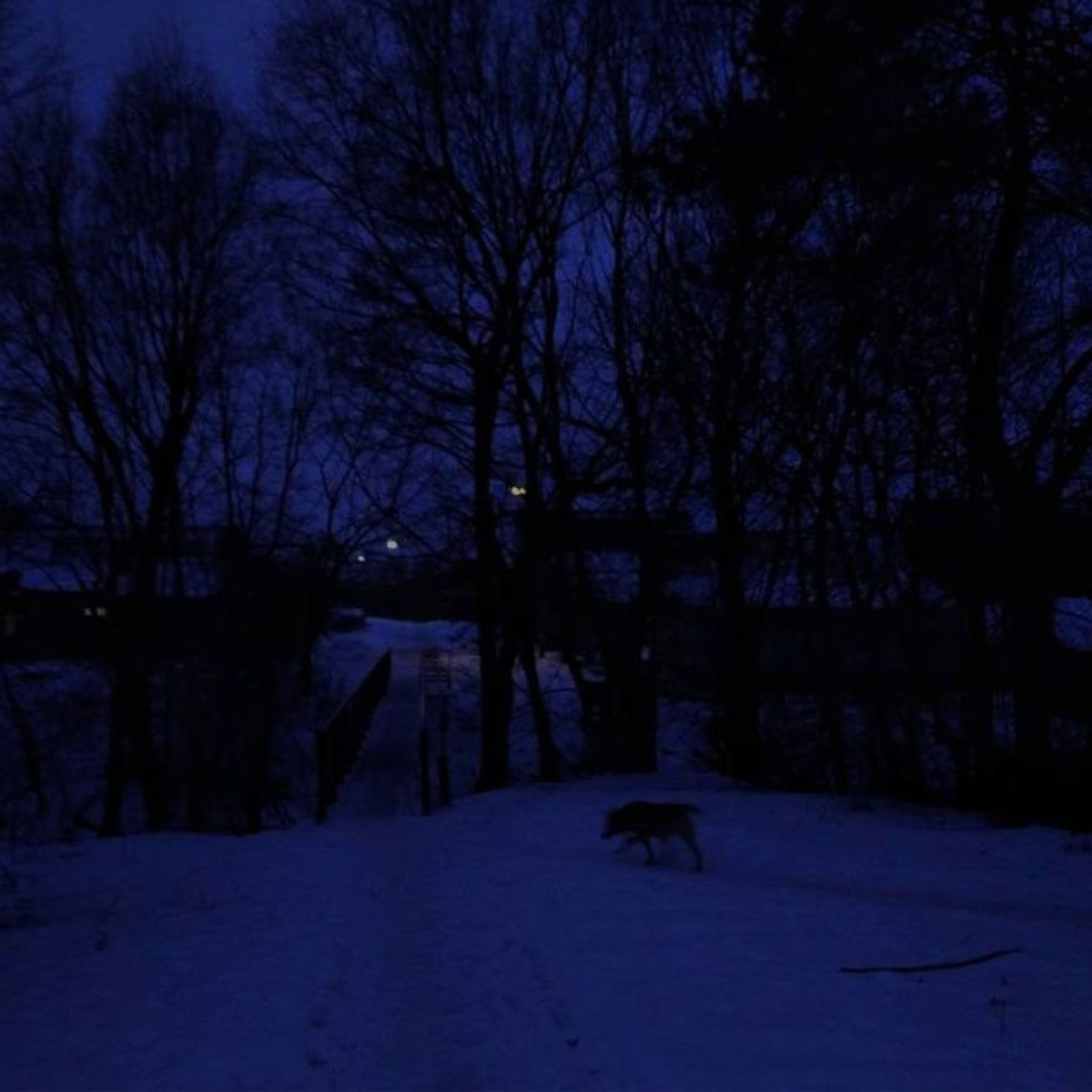 I'll miss you forever artwork