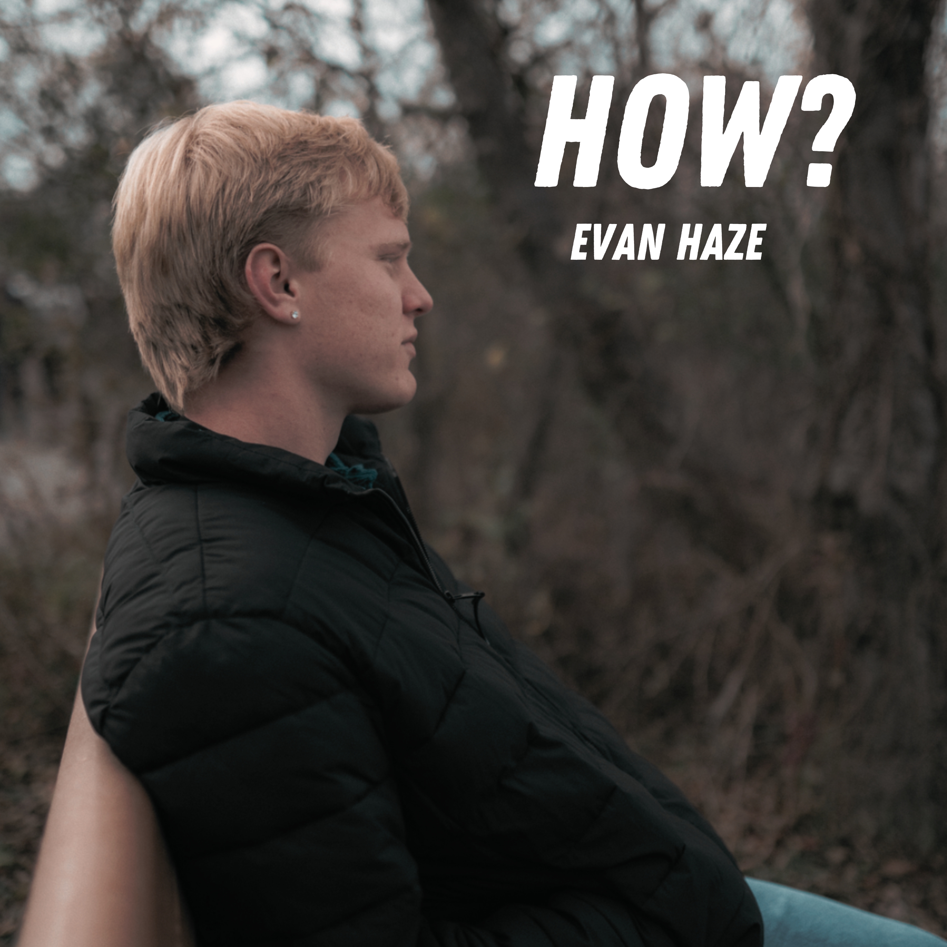 How? artwork