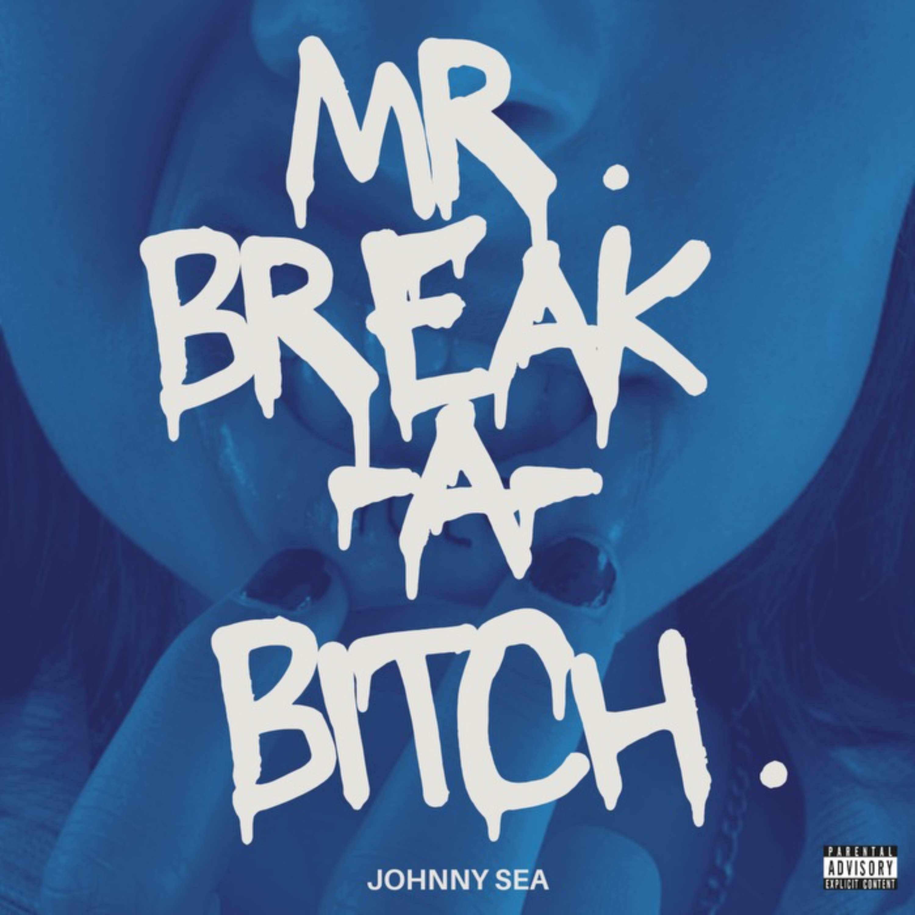 Mr Break A Bitch by Johnny Sea  cover art