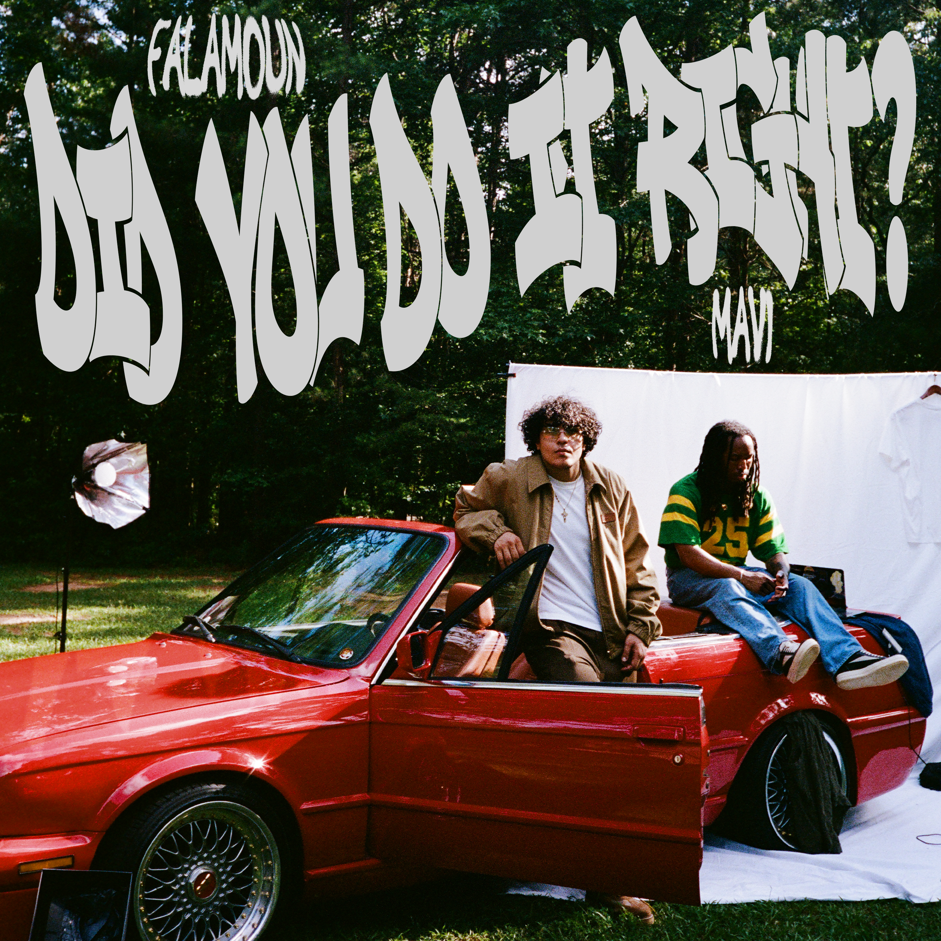 Did You Do It Right? artwork