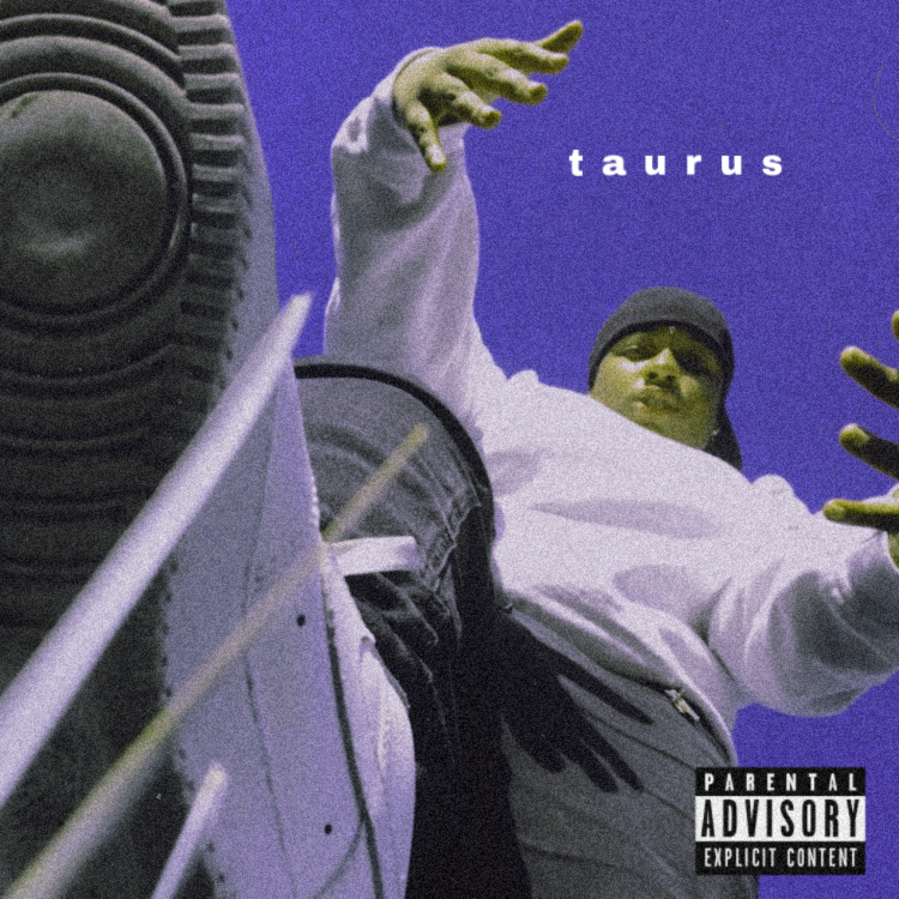 taurus artwork