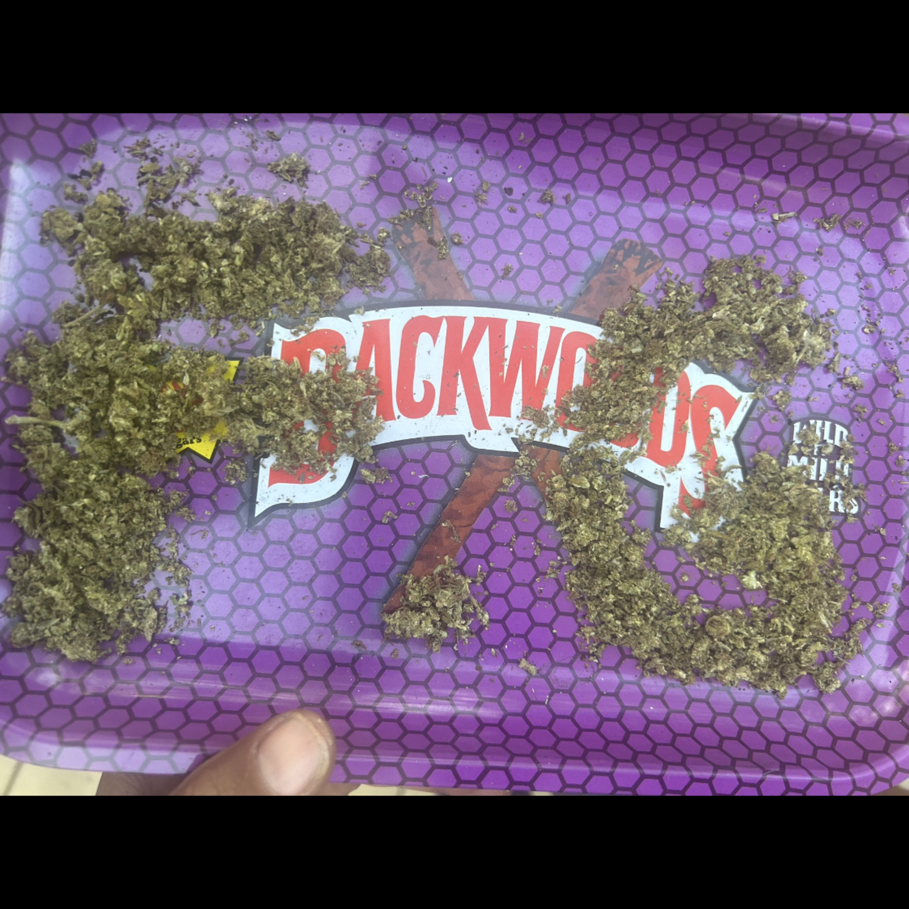 Gen 5 by 31jacckboy cover art