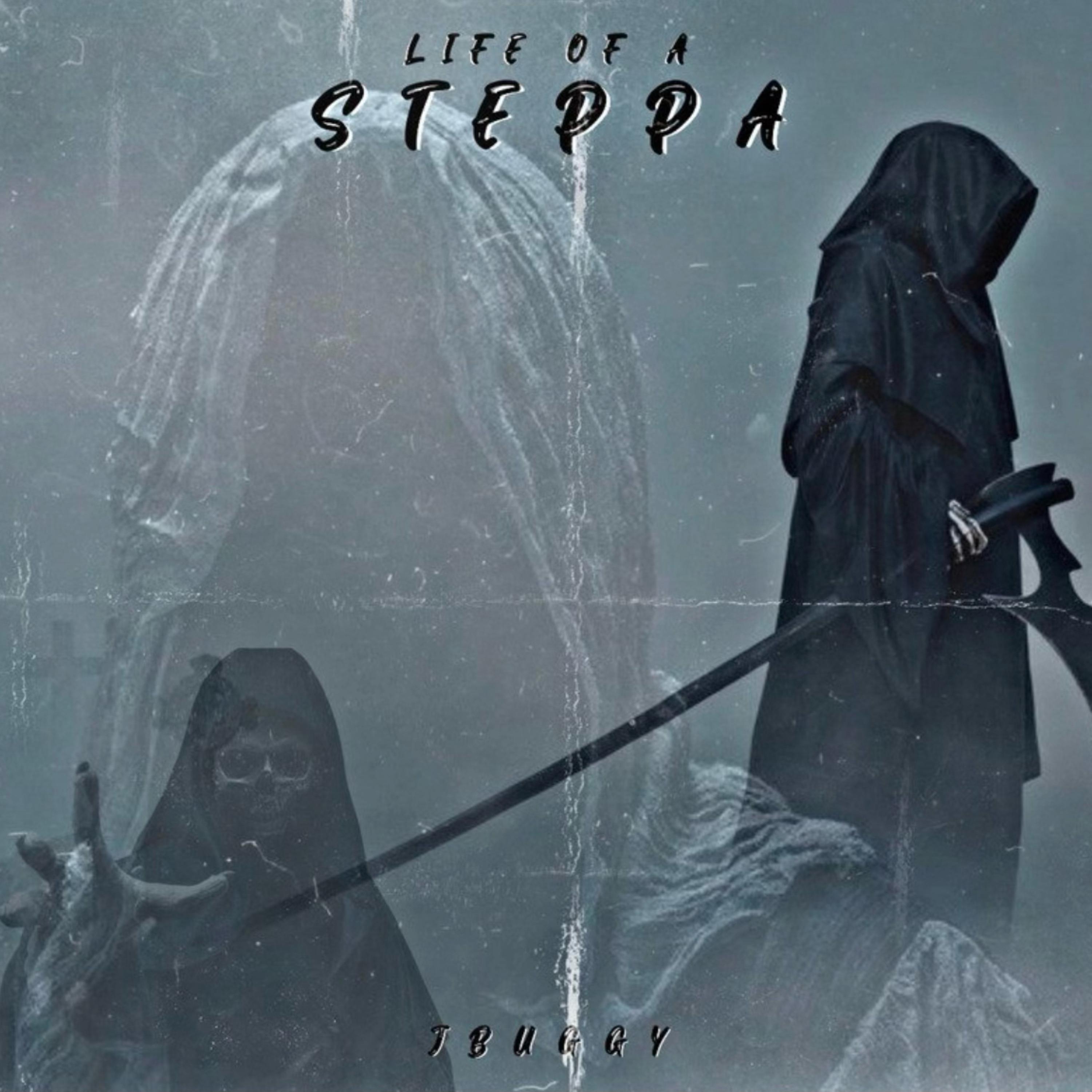 LIFE OF A STEPPA artwork