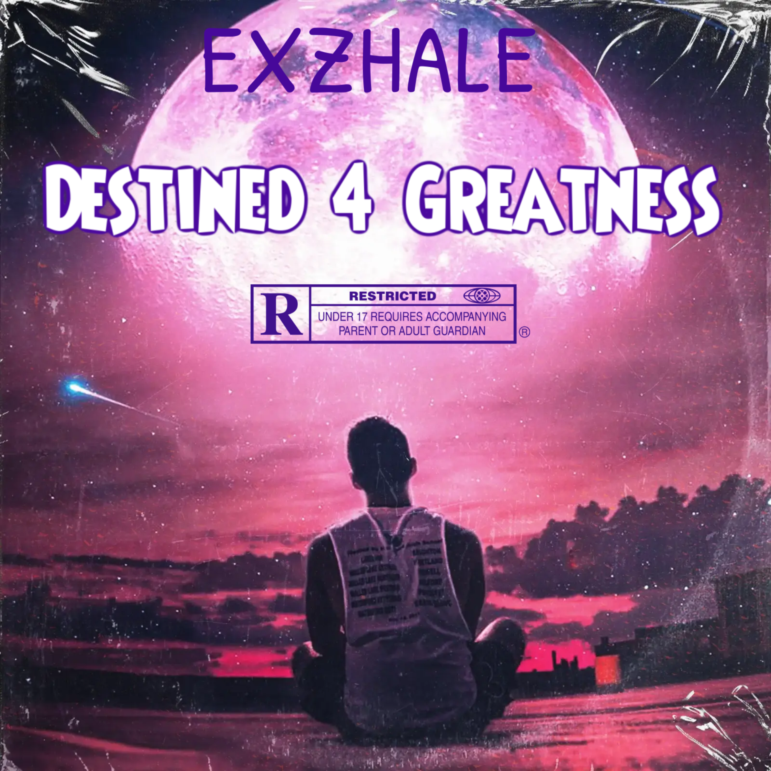 Destined 4 Greatness artwork