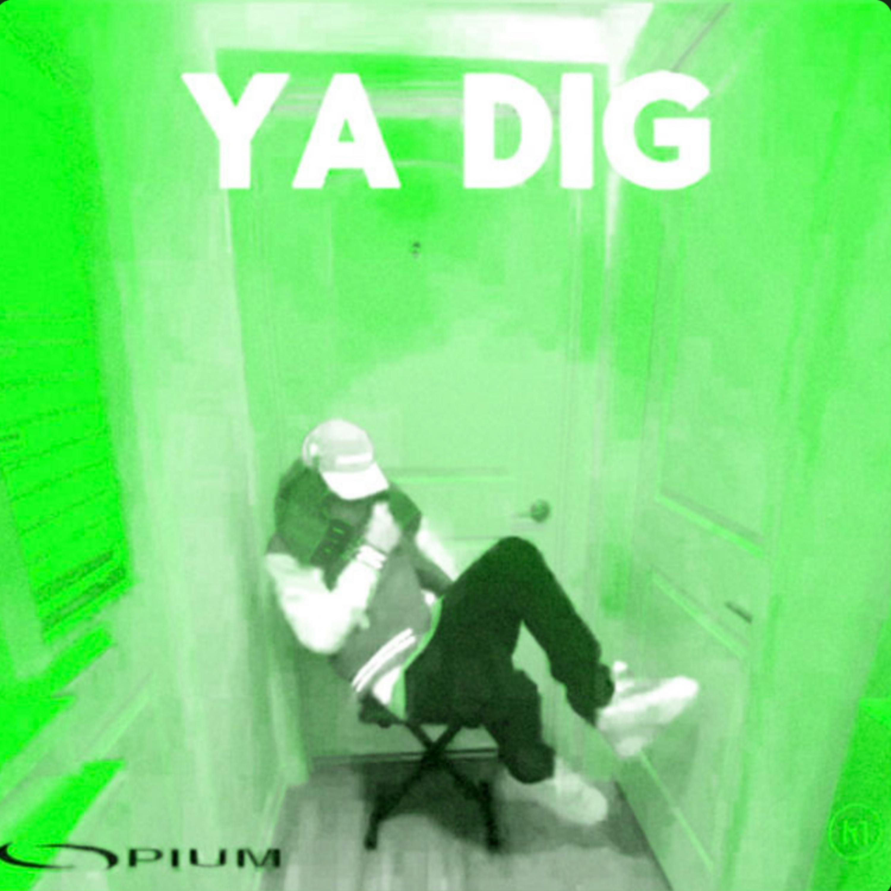Ya Dig artwork