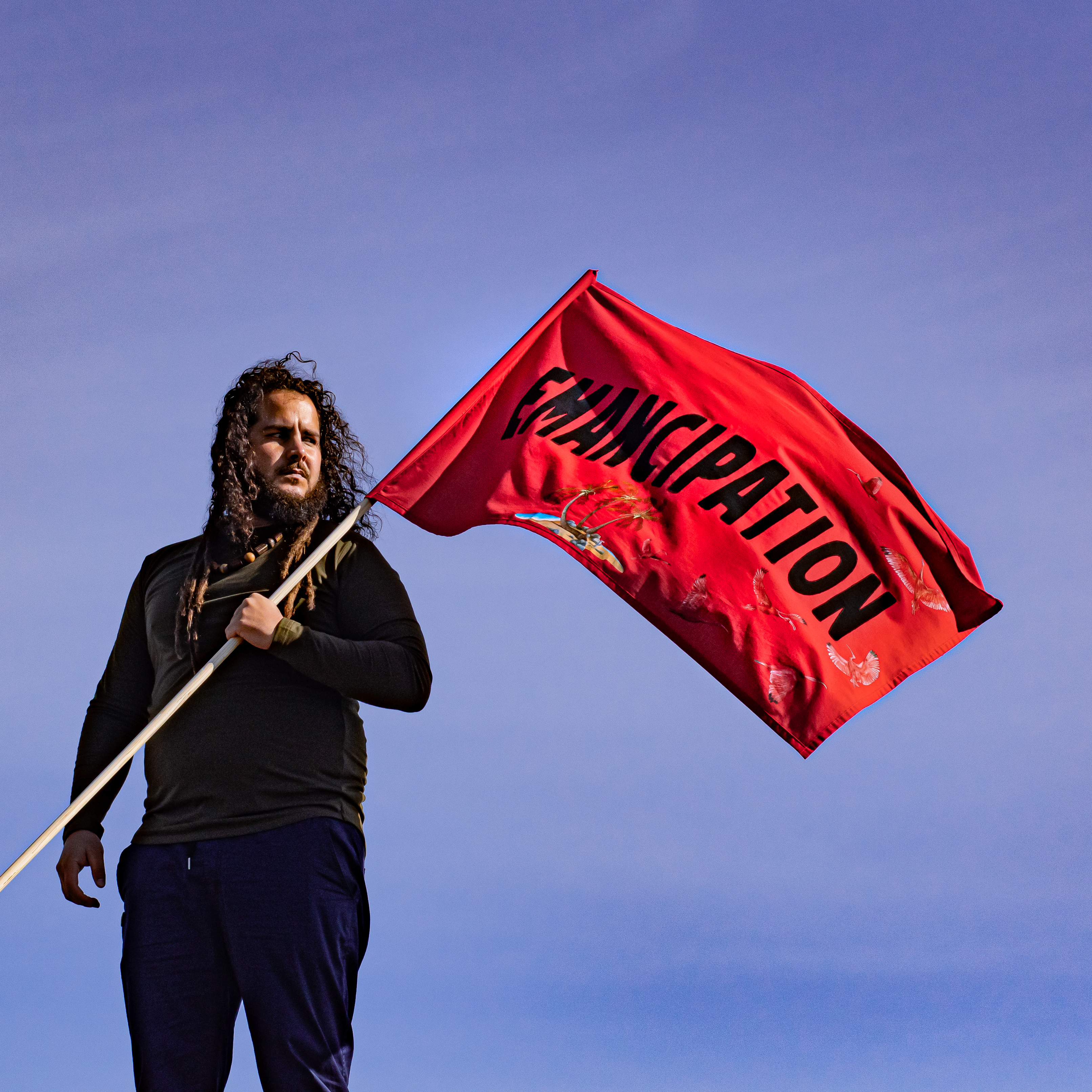 Emancipation artwork