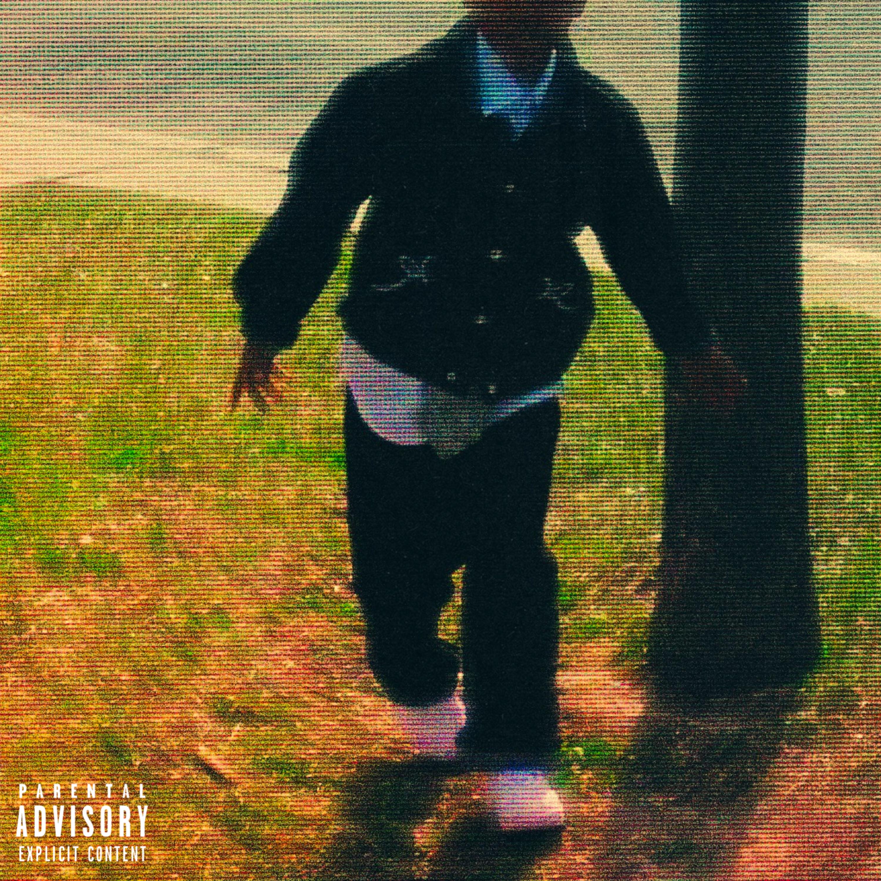 bringitbck. artwork