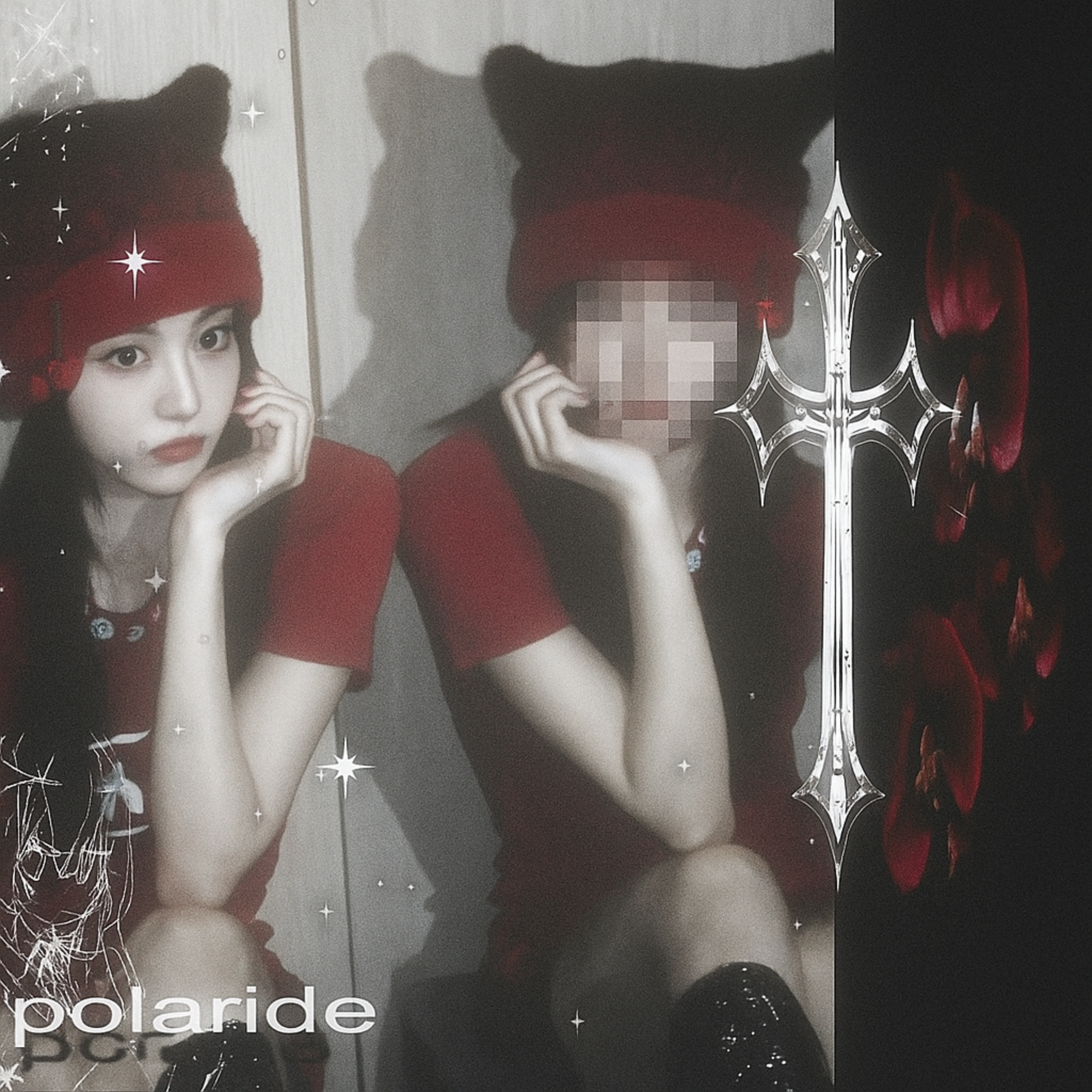 polaride artwork