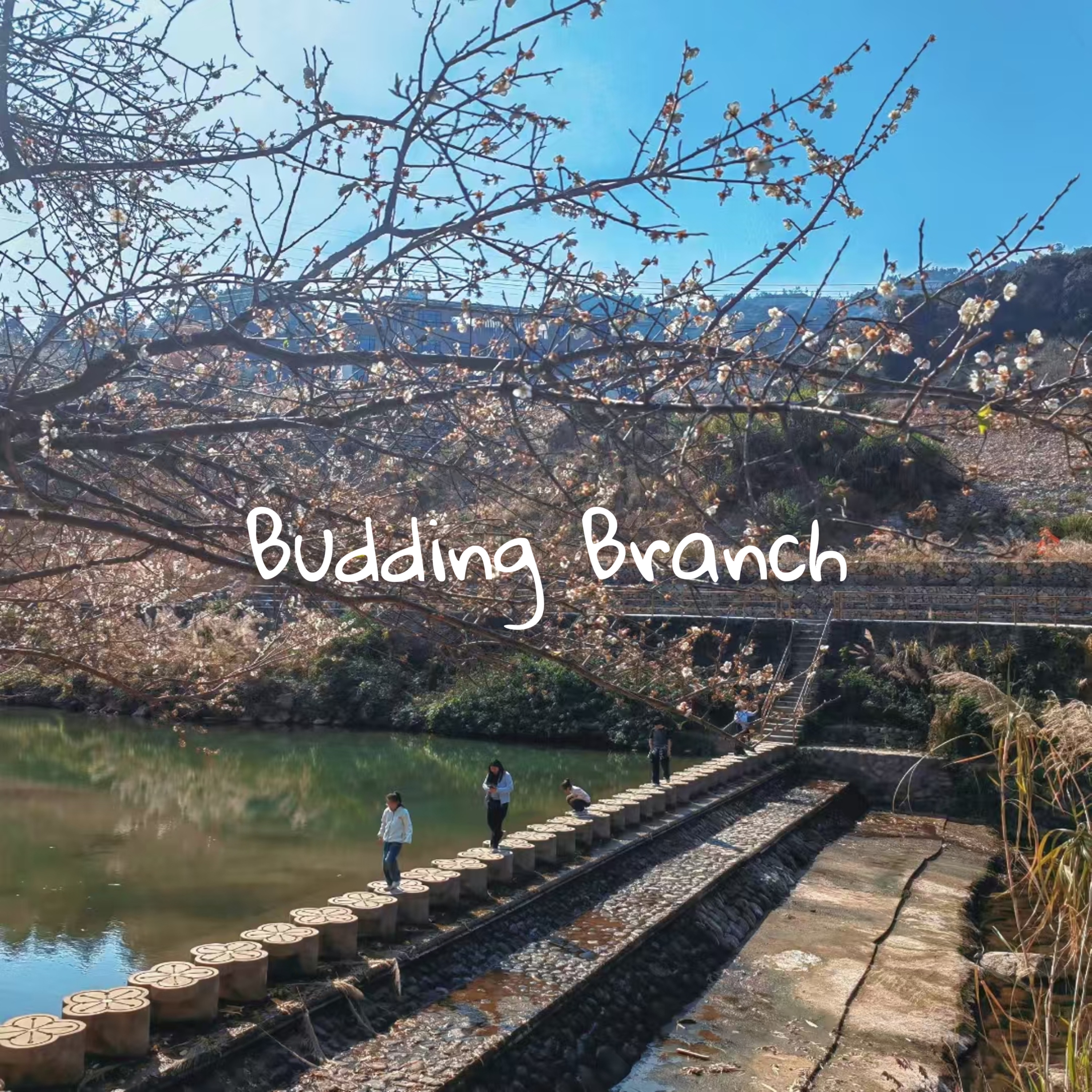 Budding Branch artwork