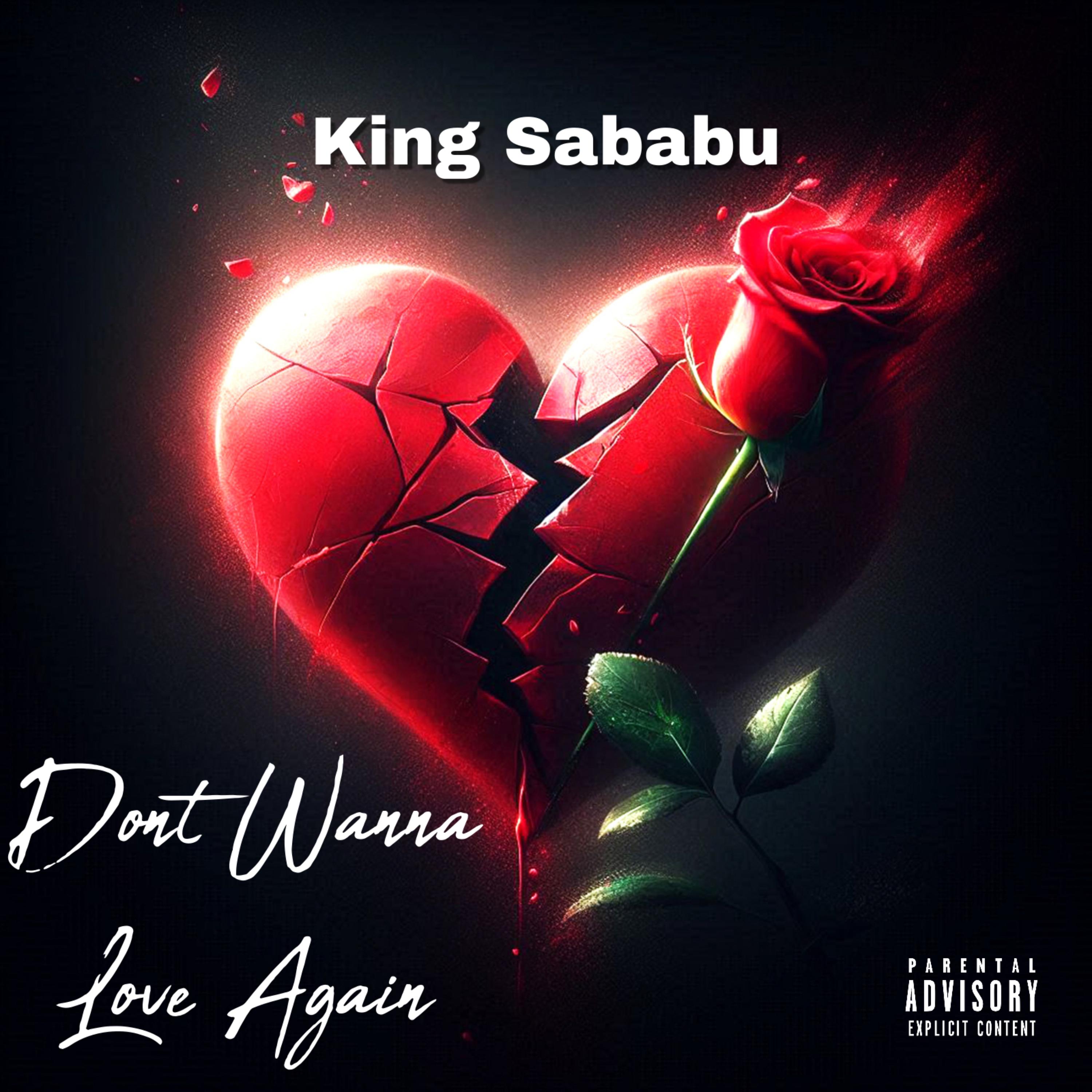 Don’t Wanna Love Again by King Sababu cover art