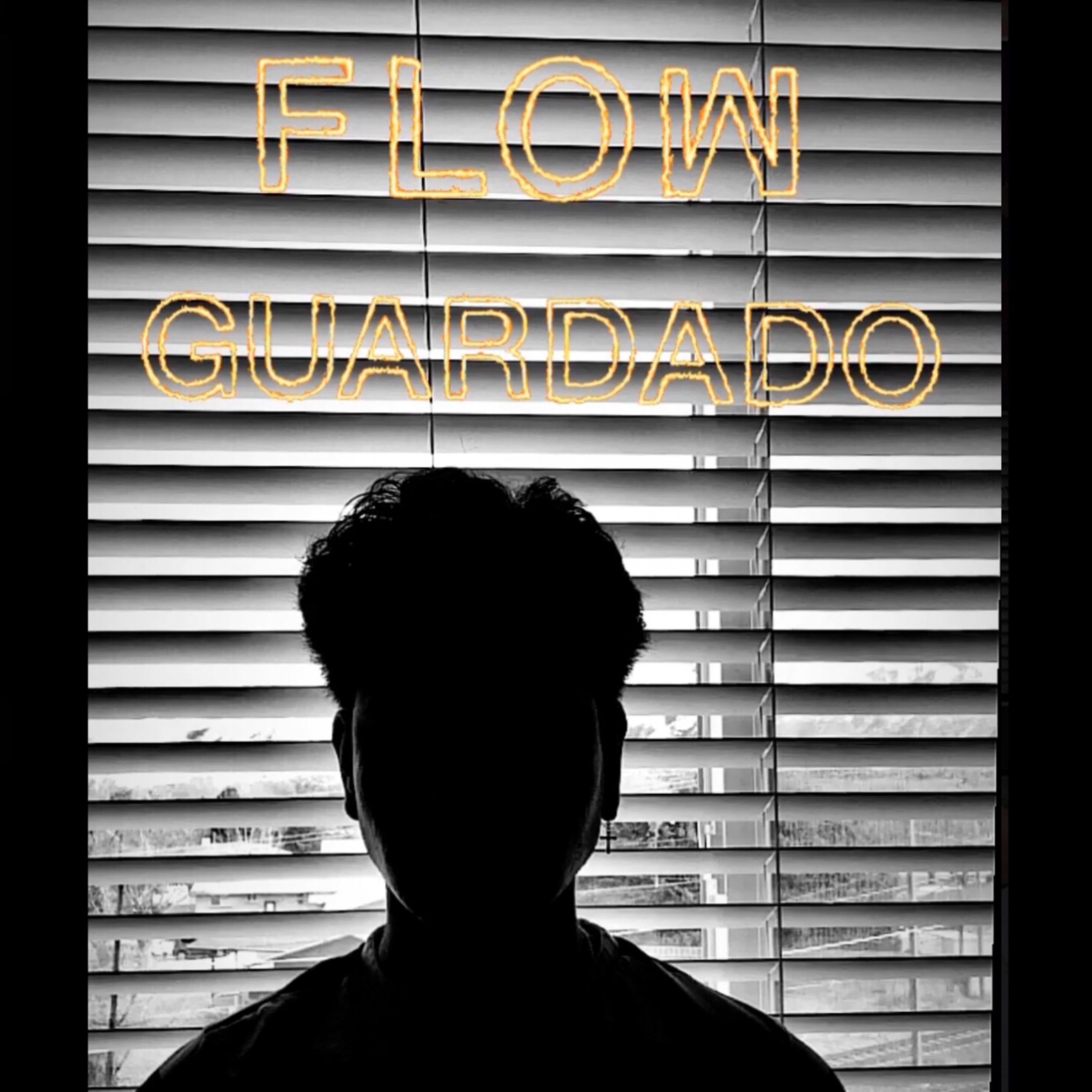 Flow Guardado artwork