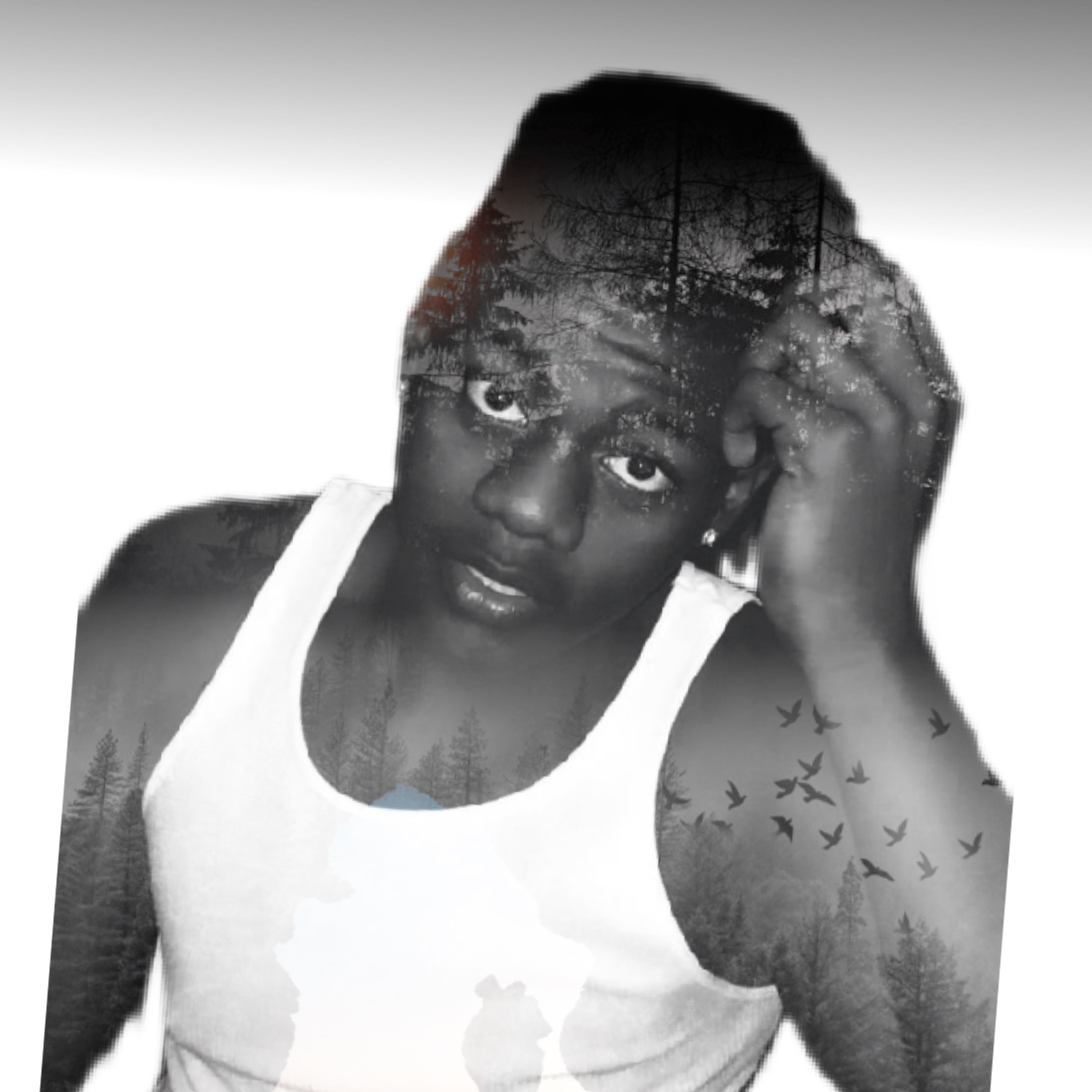 Maybe artwork