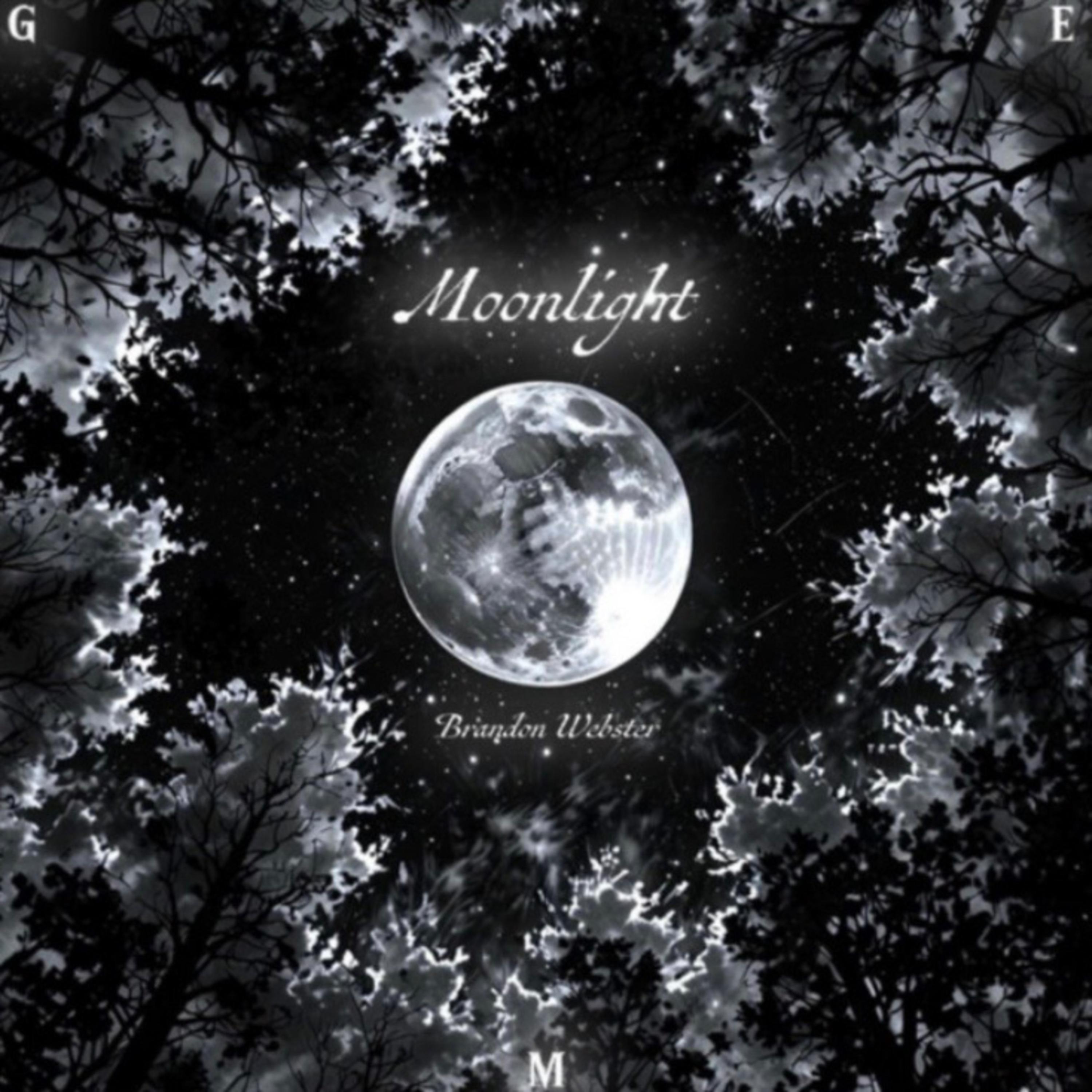 Moonlight artwork