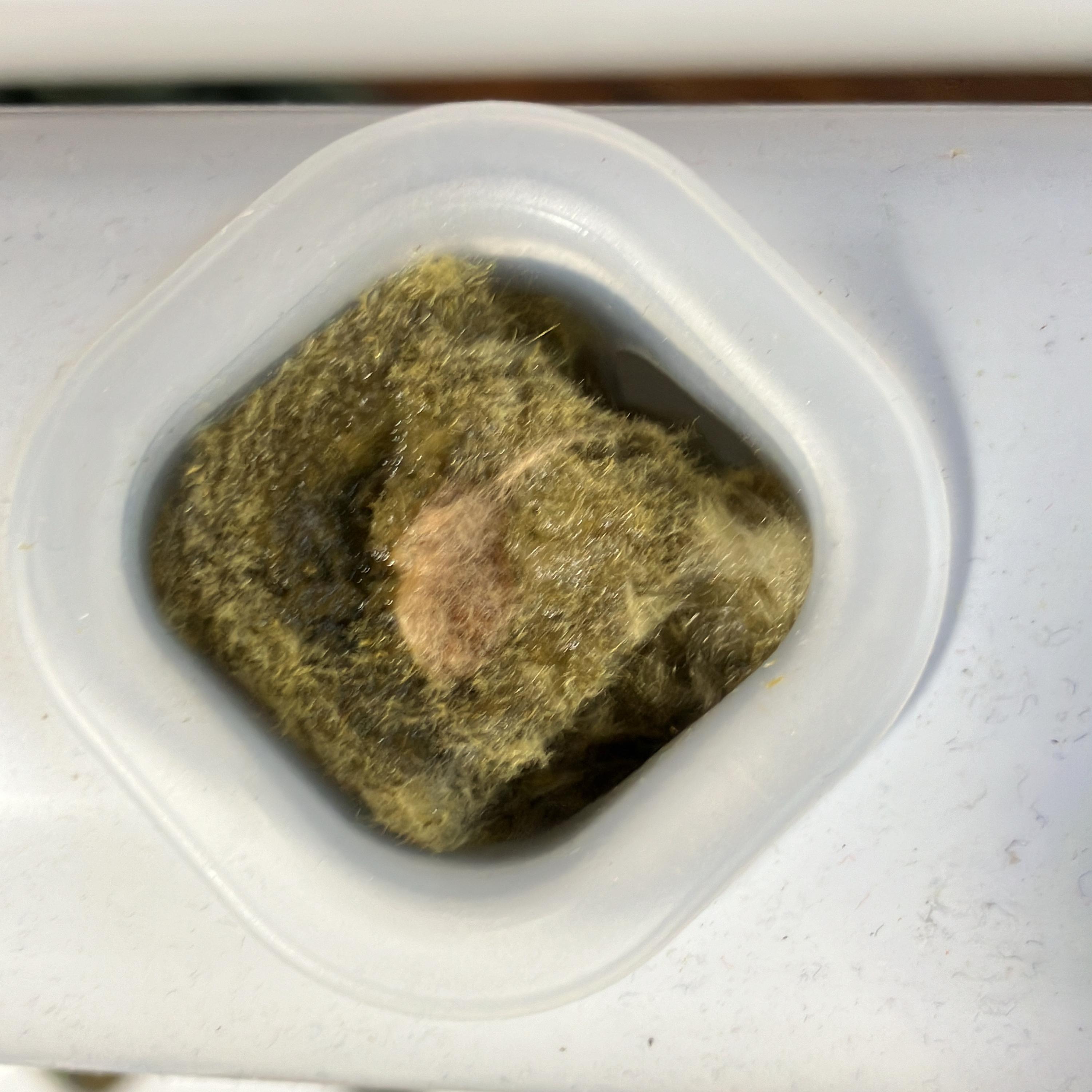 This Ole Building artwork