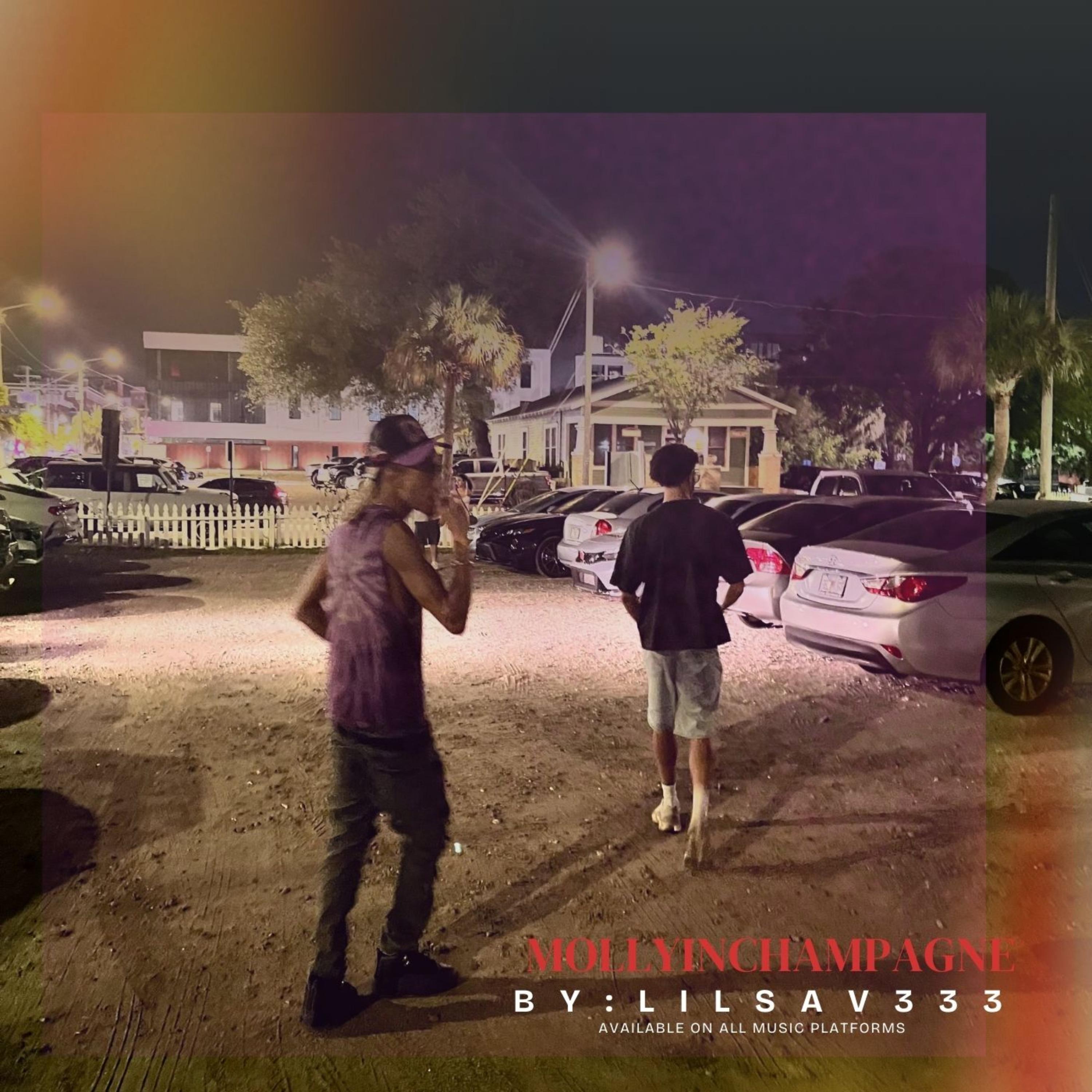 Mollyinchampagne artwork