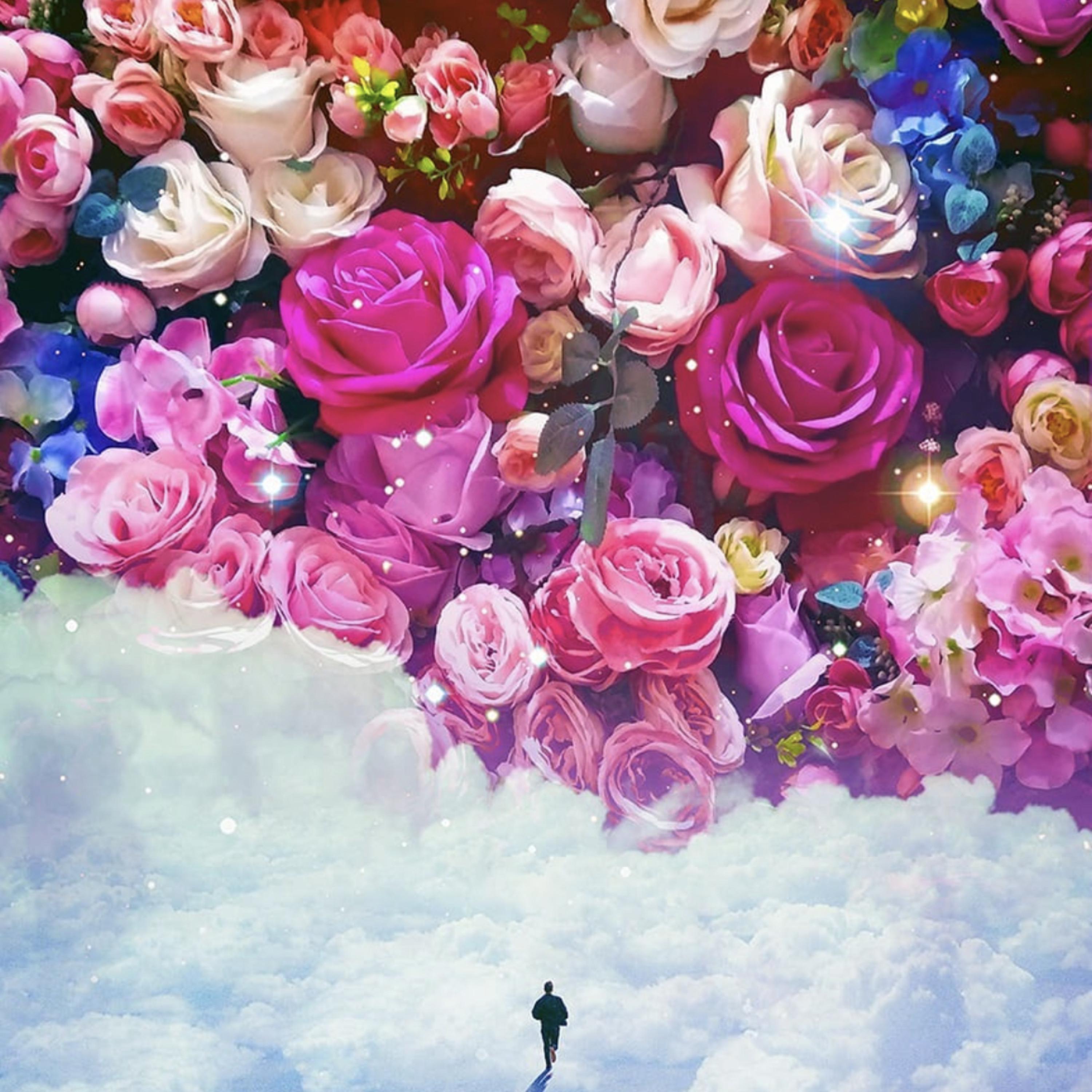 Blissful Morning artwork