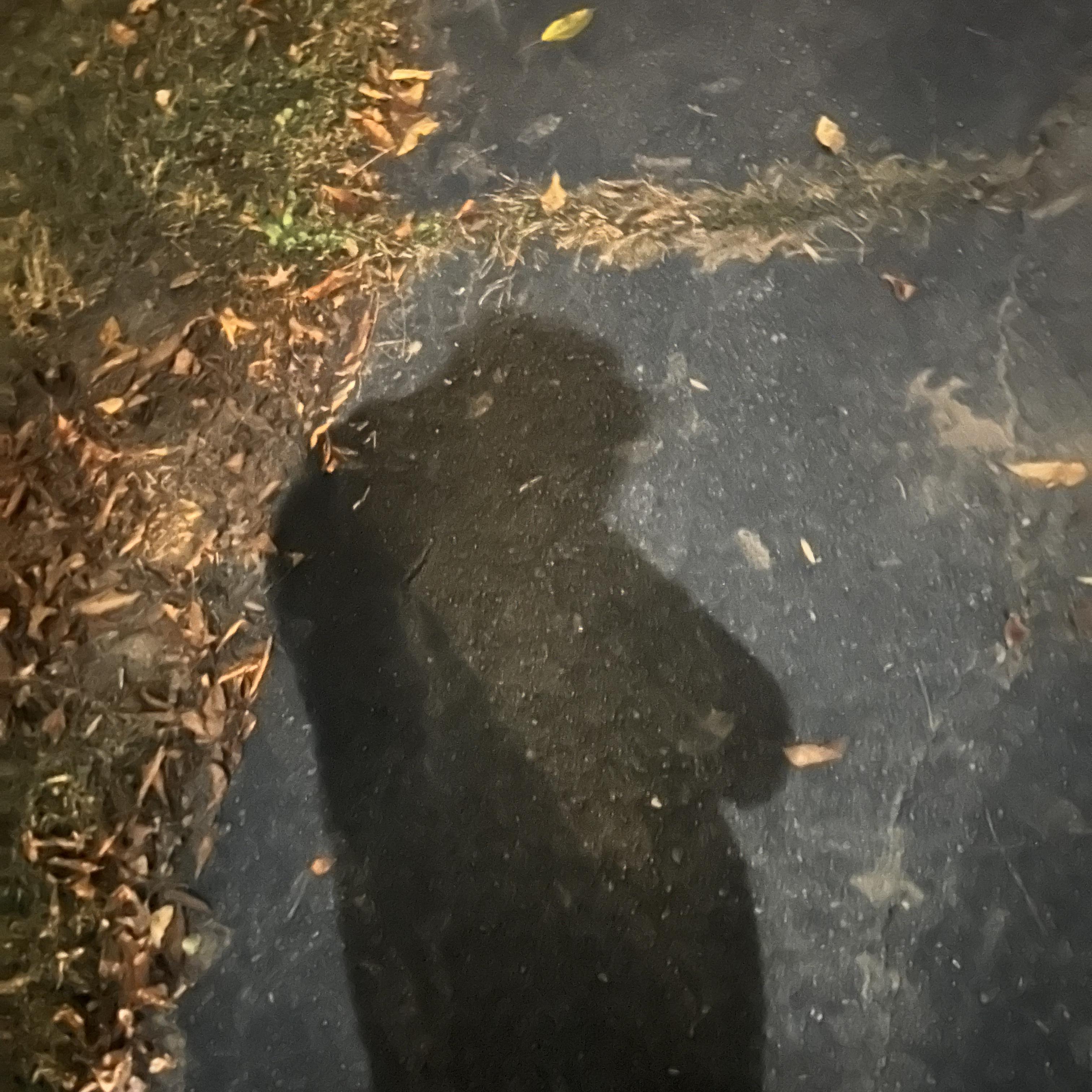 Gimme Ur Luv artwork