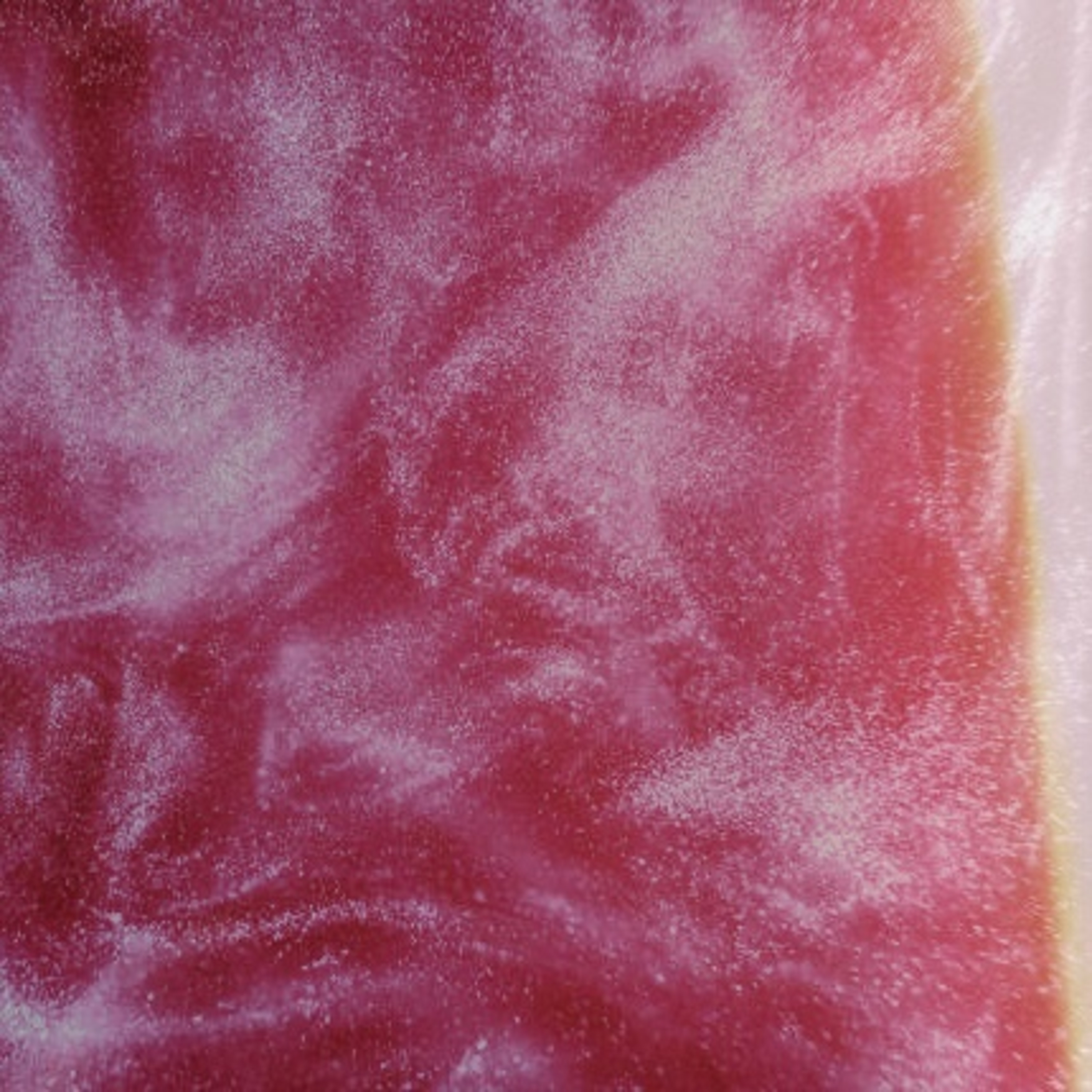 THE PINK PALACE artwork