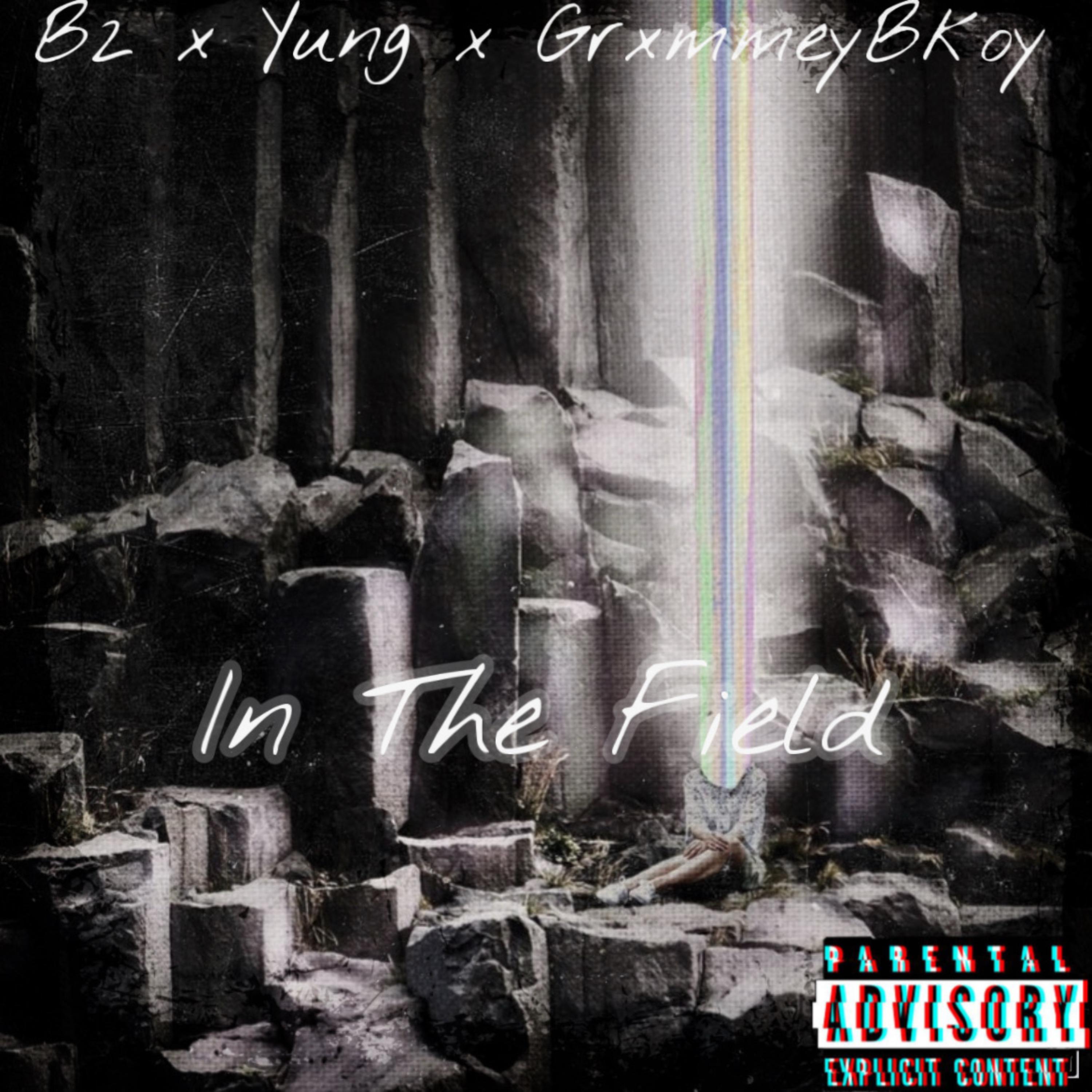 In The Field artwork