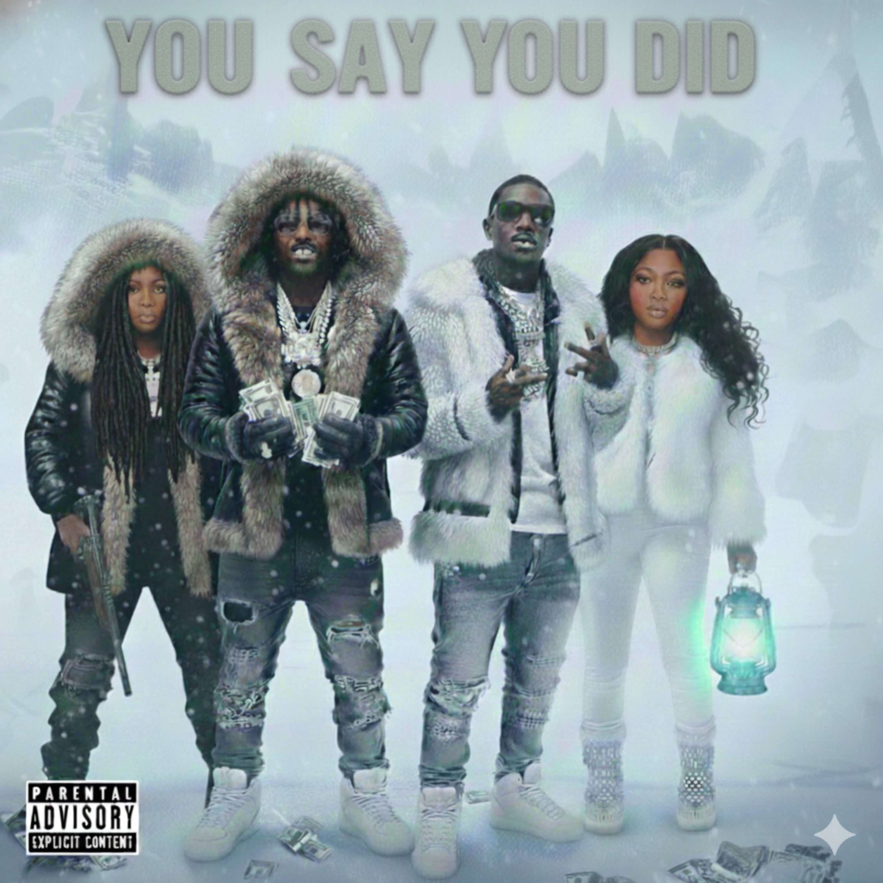 YOU SAY YOU DID by Mr.Diphrent cover art