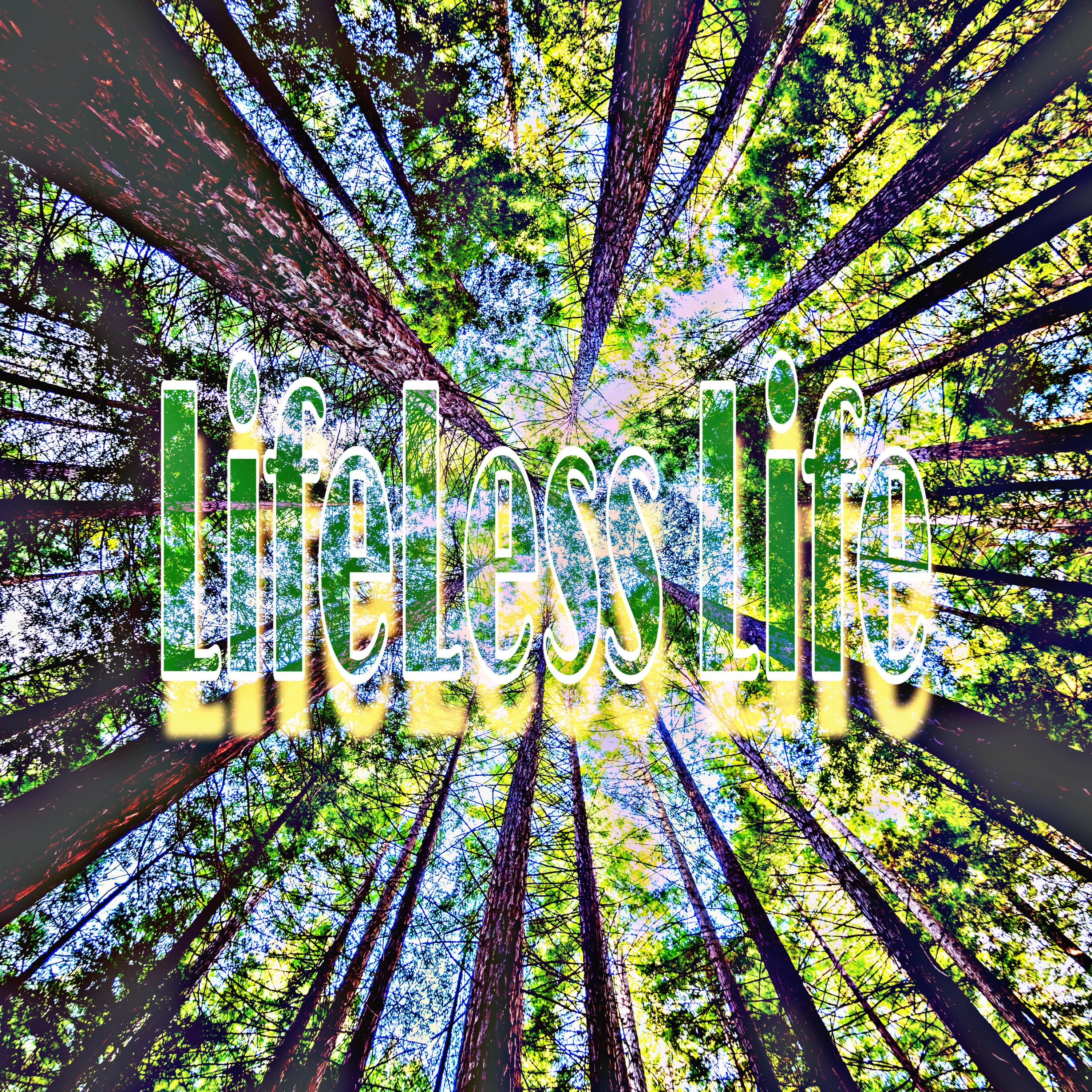 Lifeless Life artwork