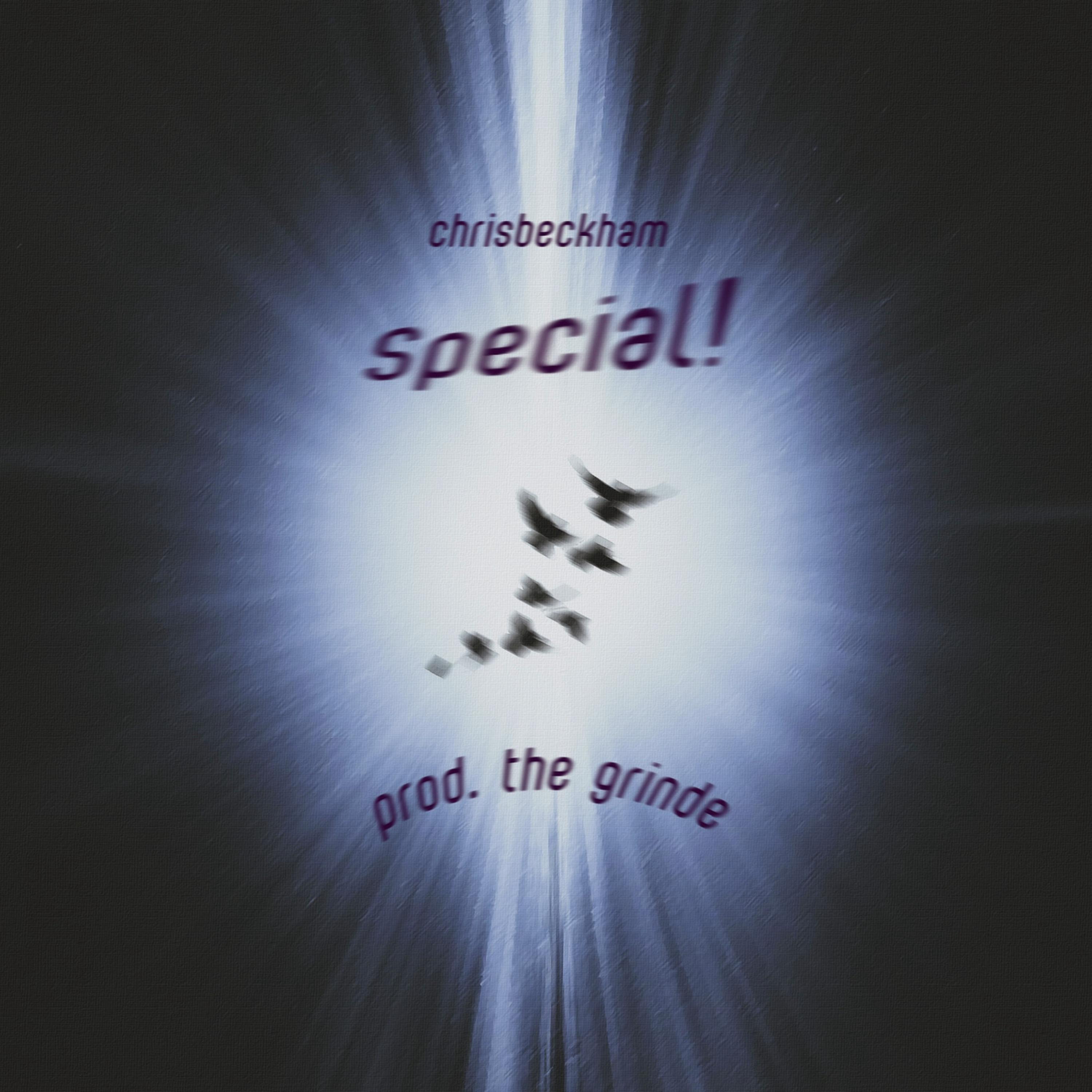 Special! by chrisbeckham cover art