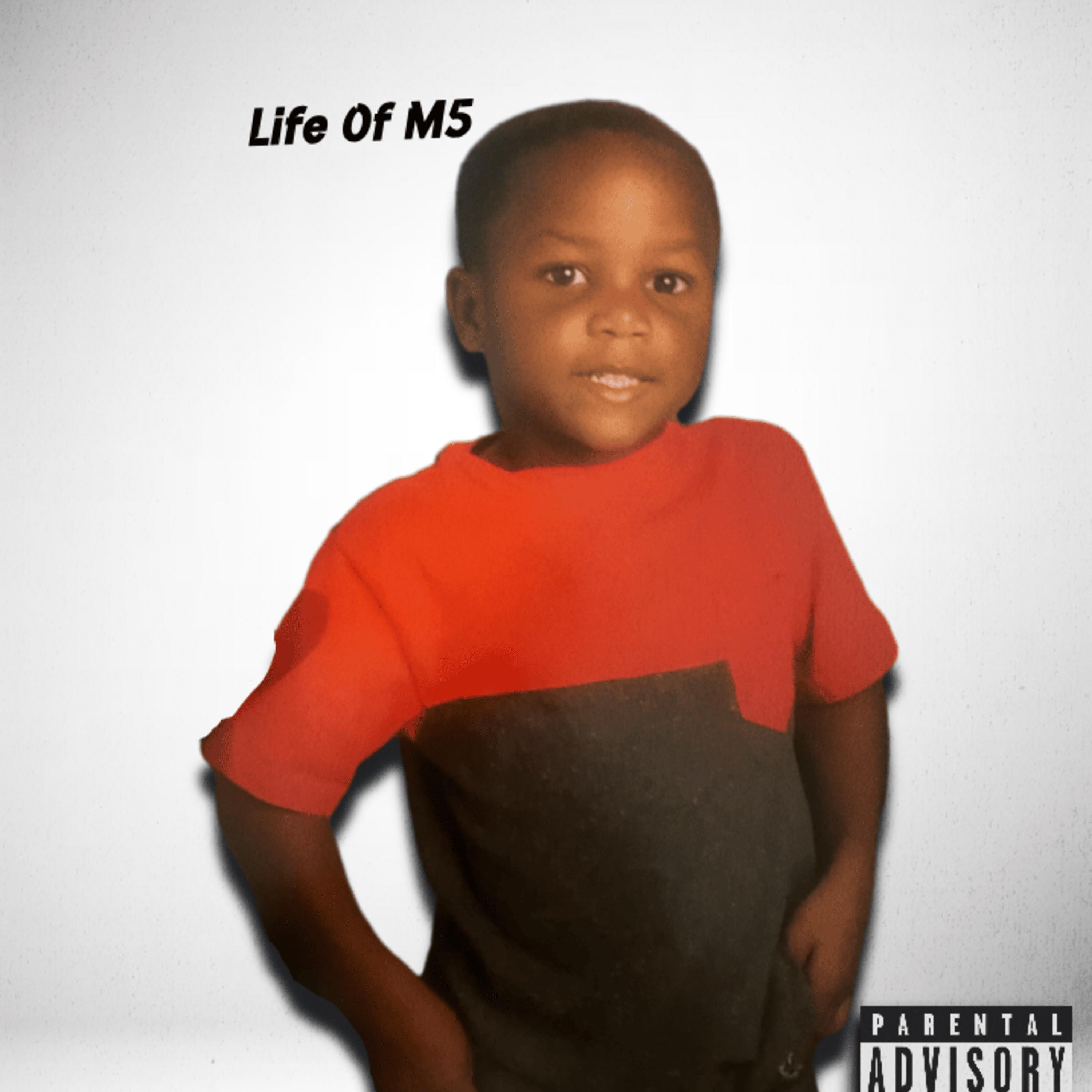 Life Of M5 artwork
