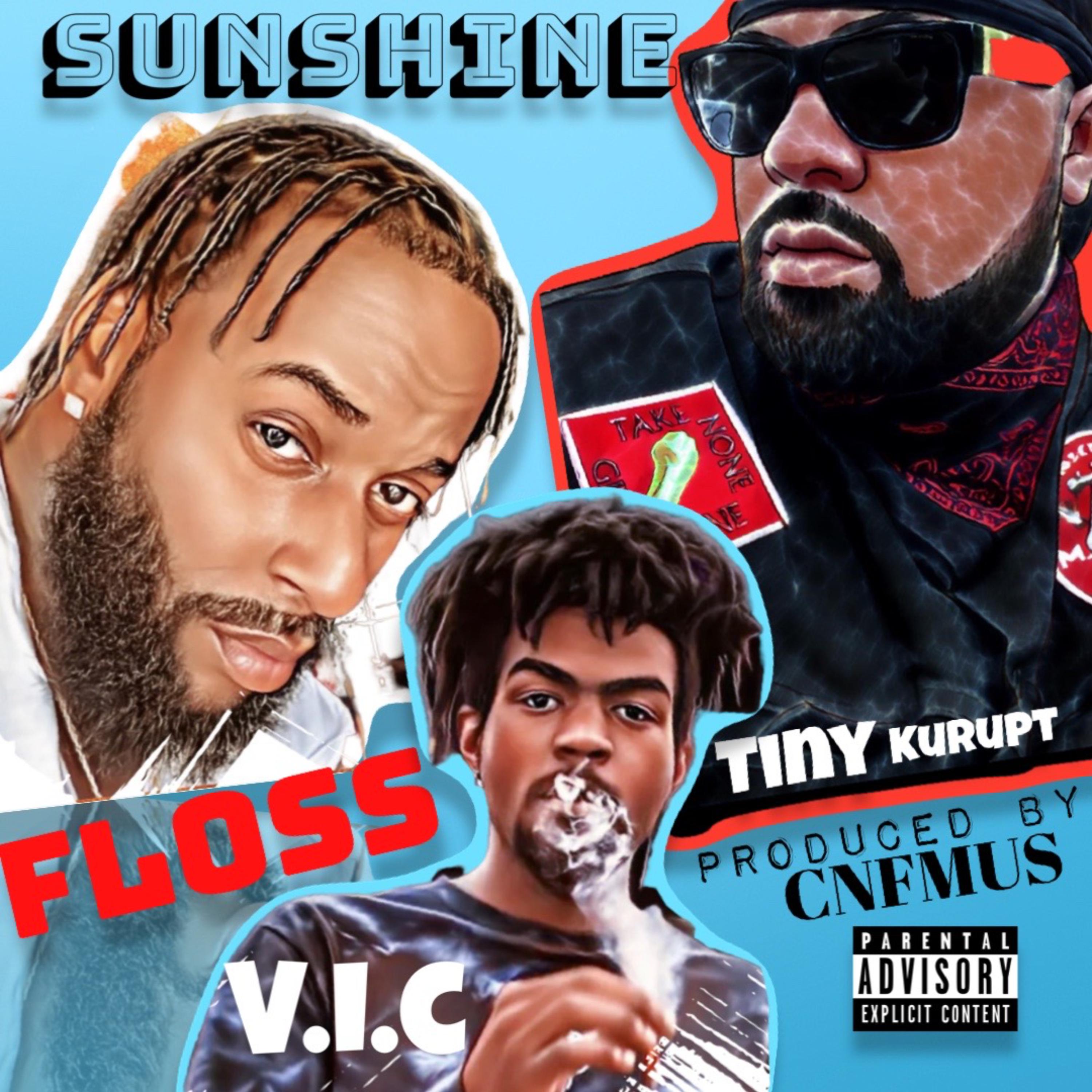 SUNSHINE artwork