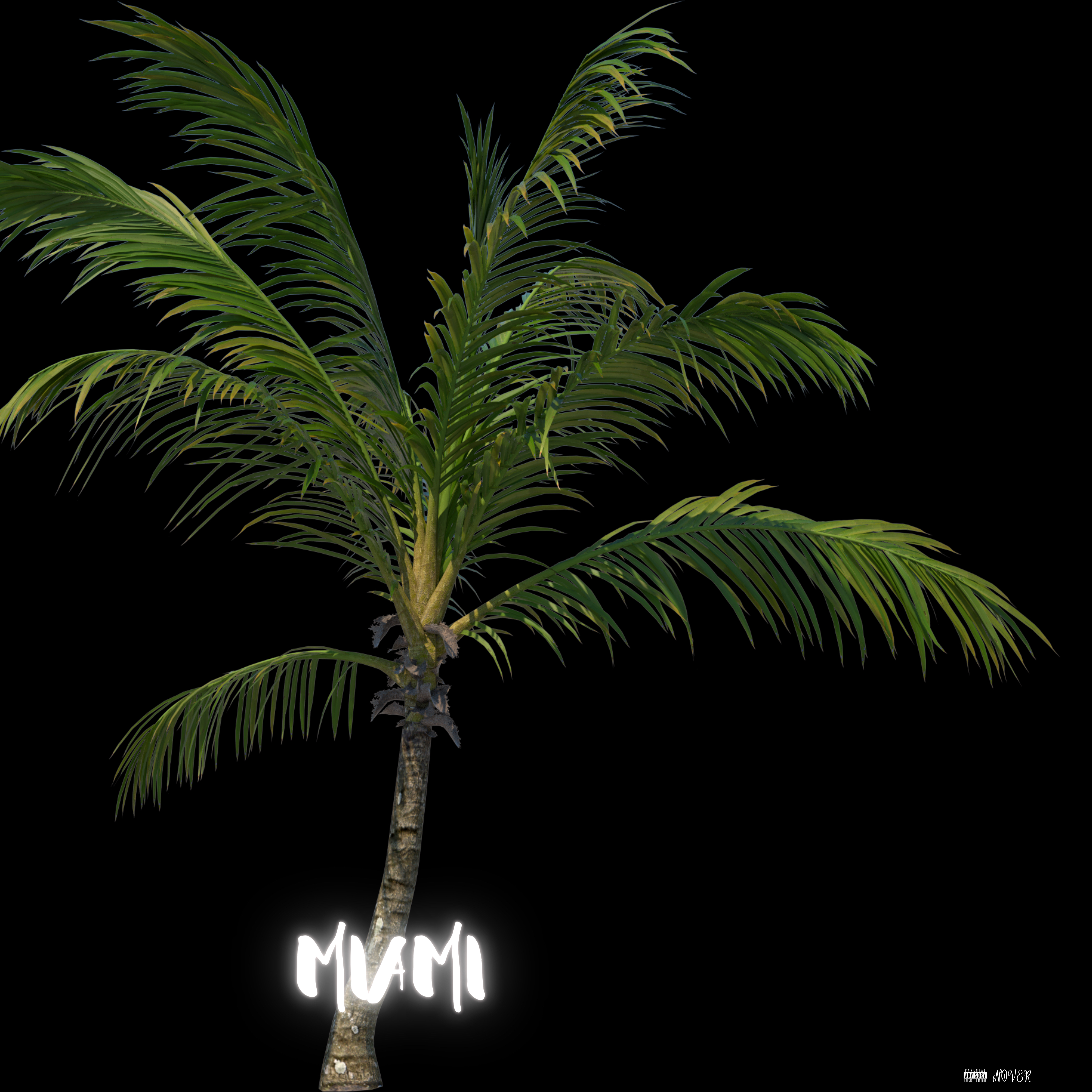 MIAMI artwork