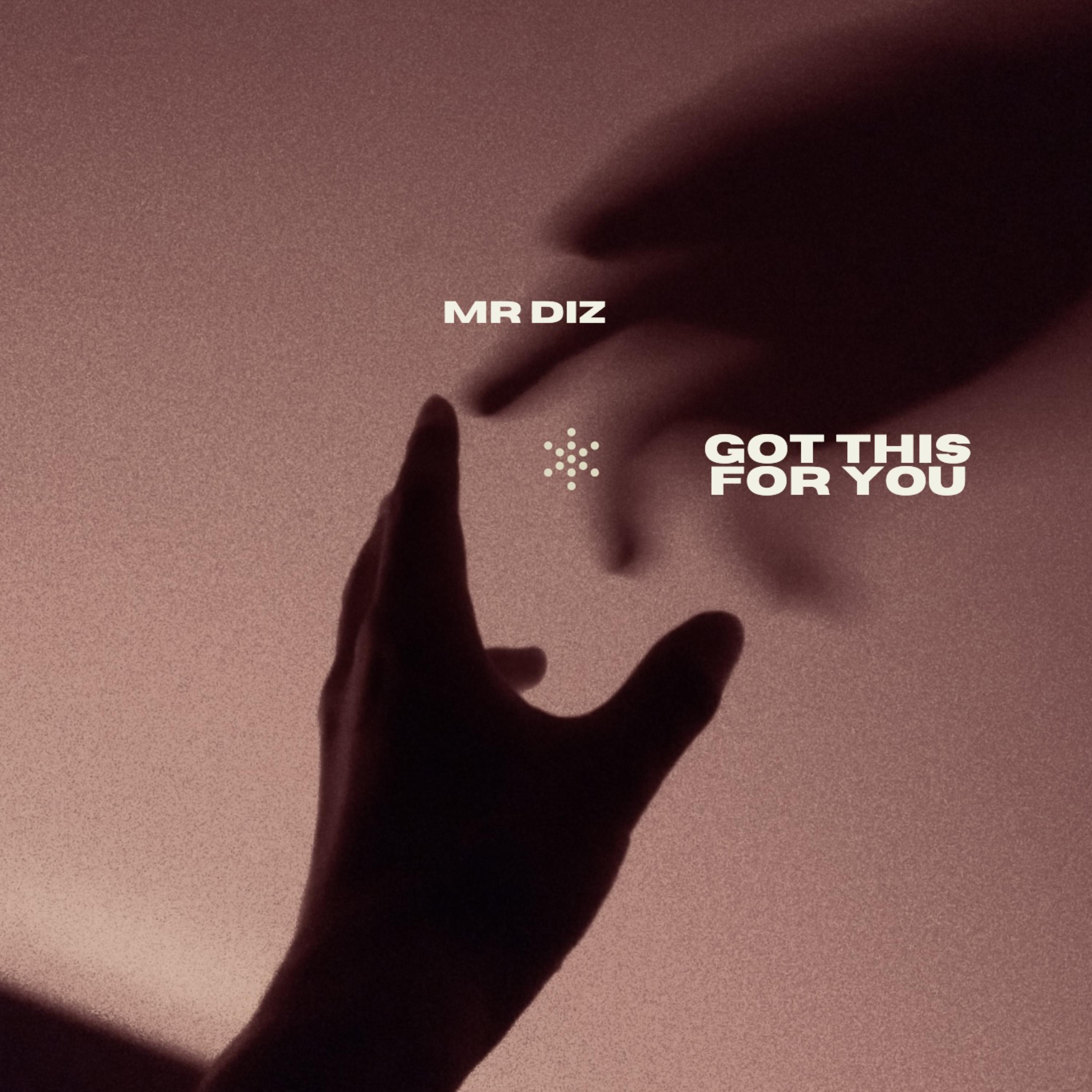 Got This For You (it's magic) by Mr Diz cover art