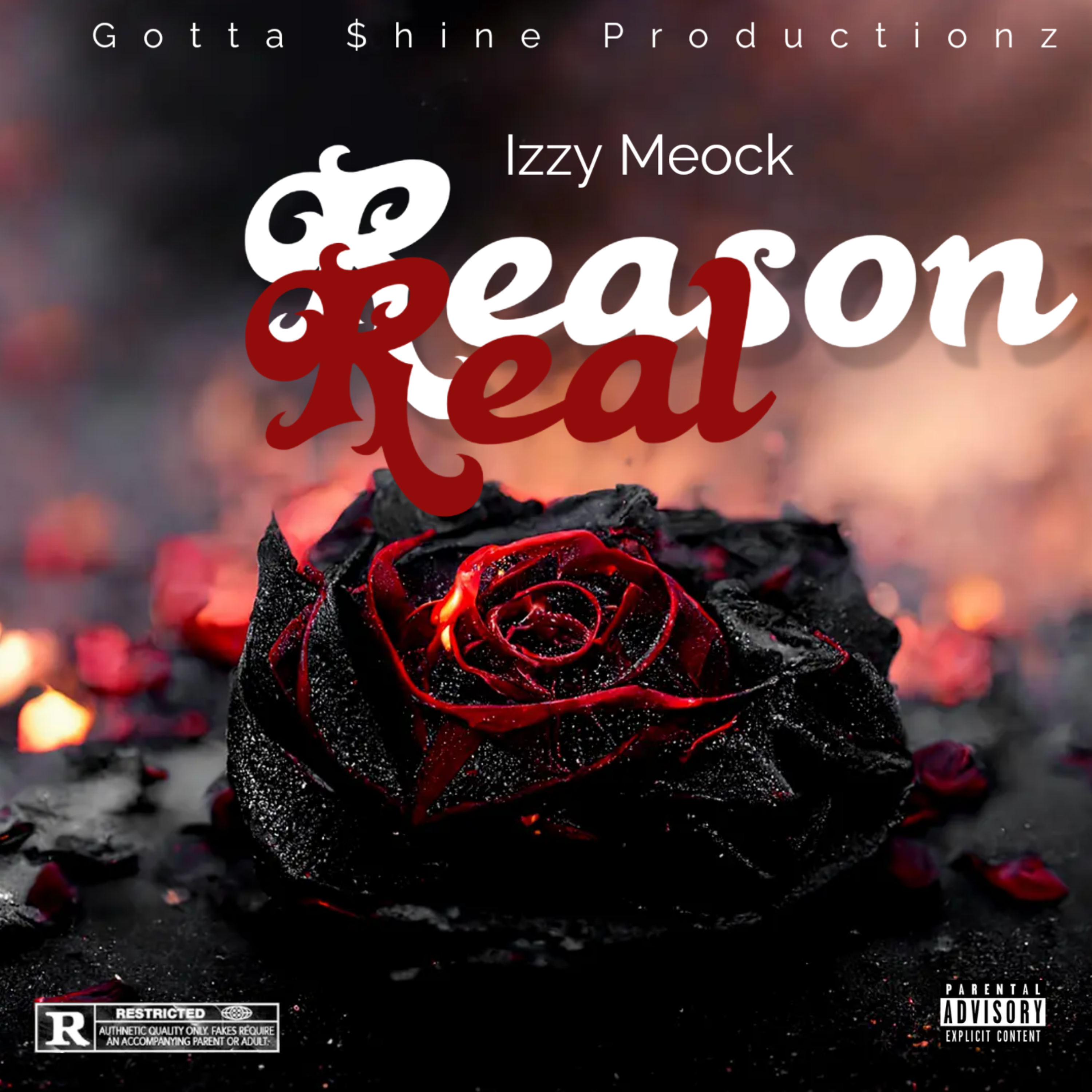 Real Reason artwork