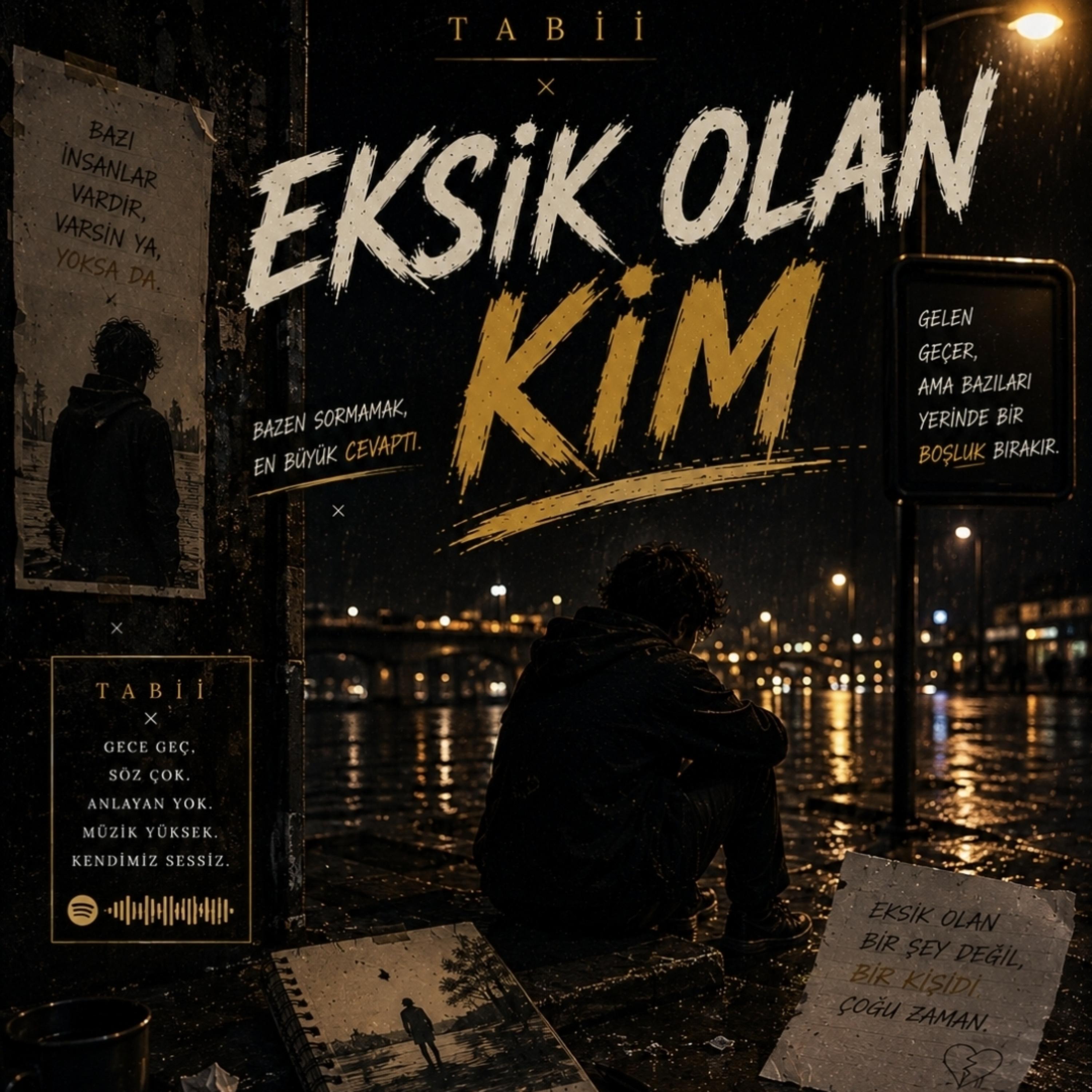 Eksik Olan Kim by Evla cover art