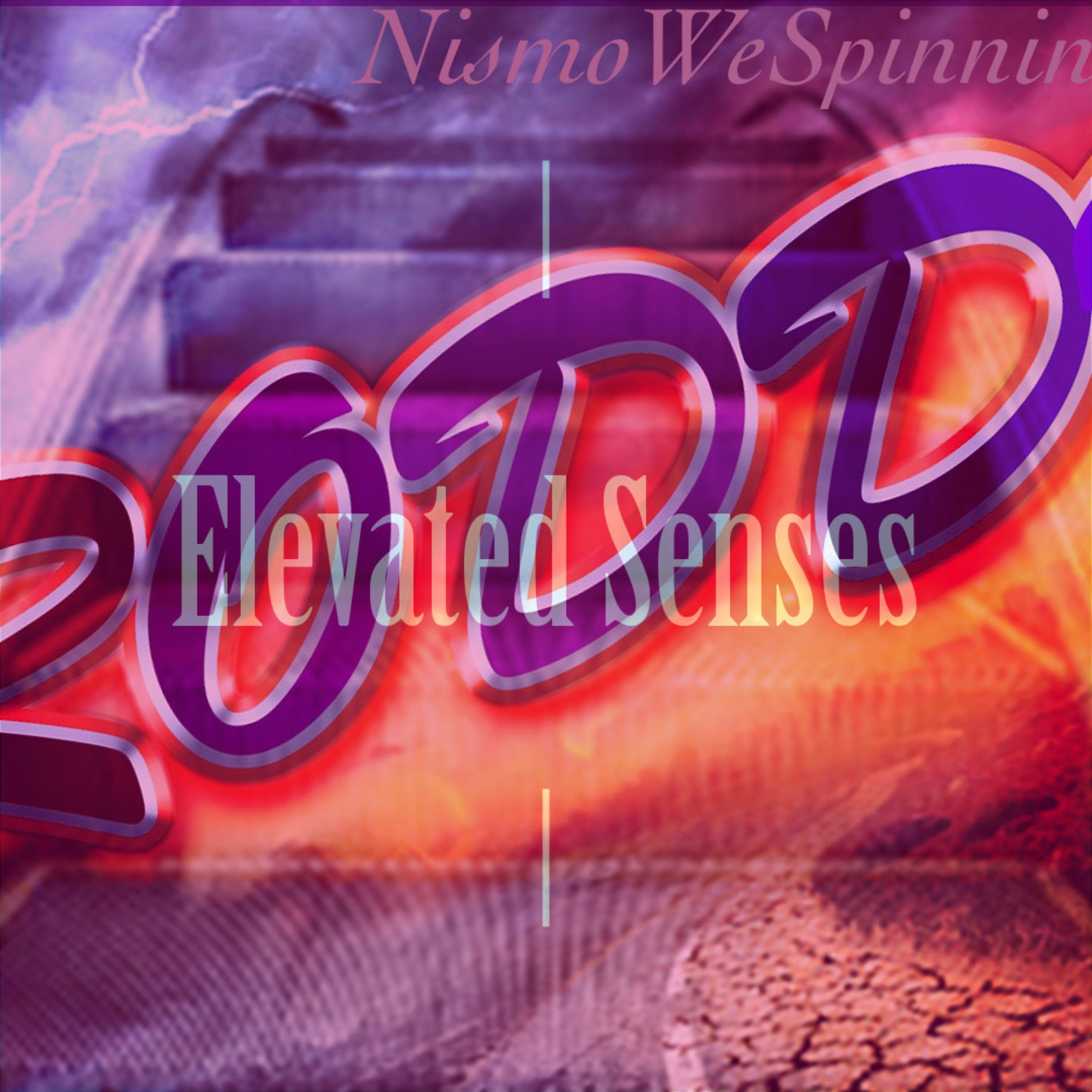 Elevated Senses artwork