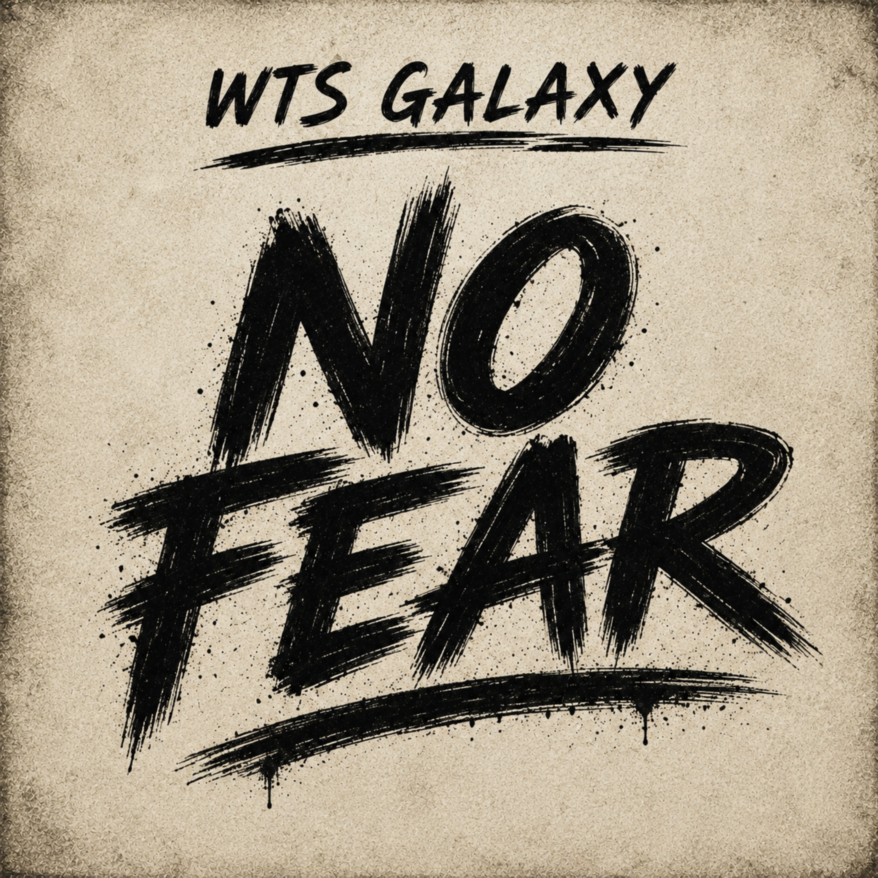 No Fear by WTS Galaxy cover art