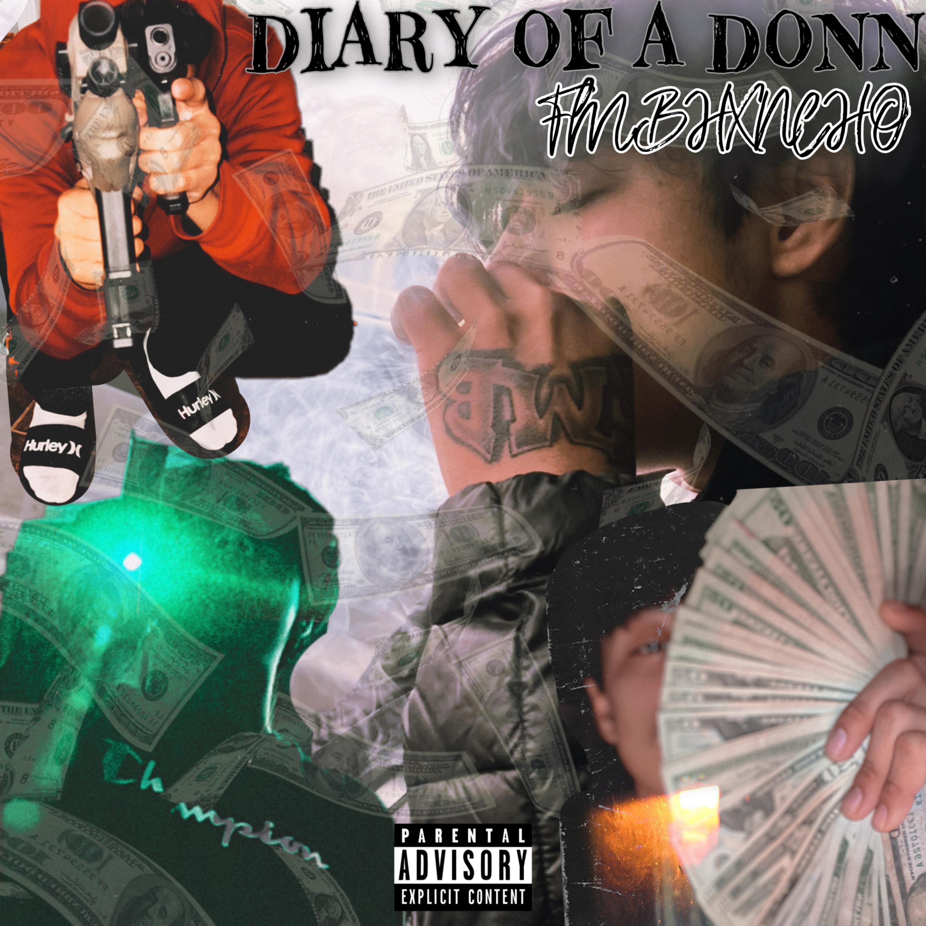 Diary Of a Donn artwork