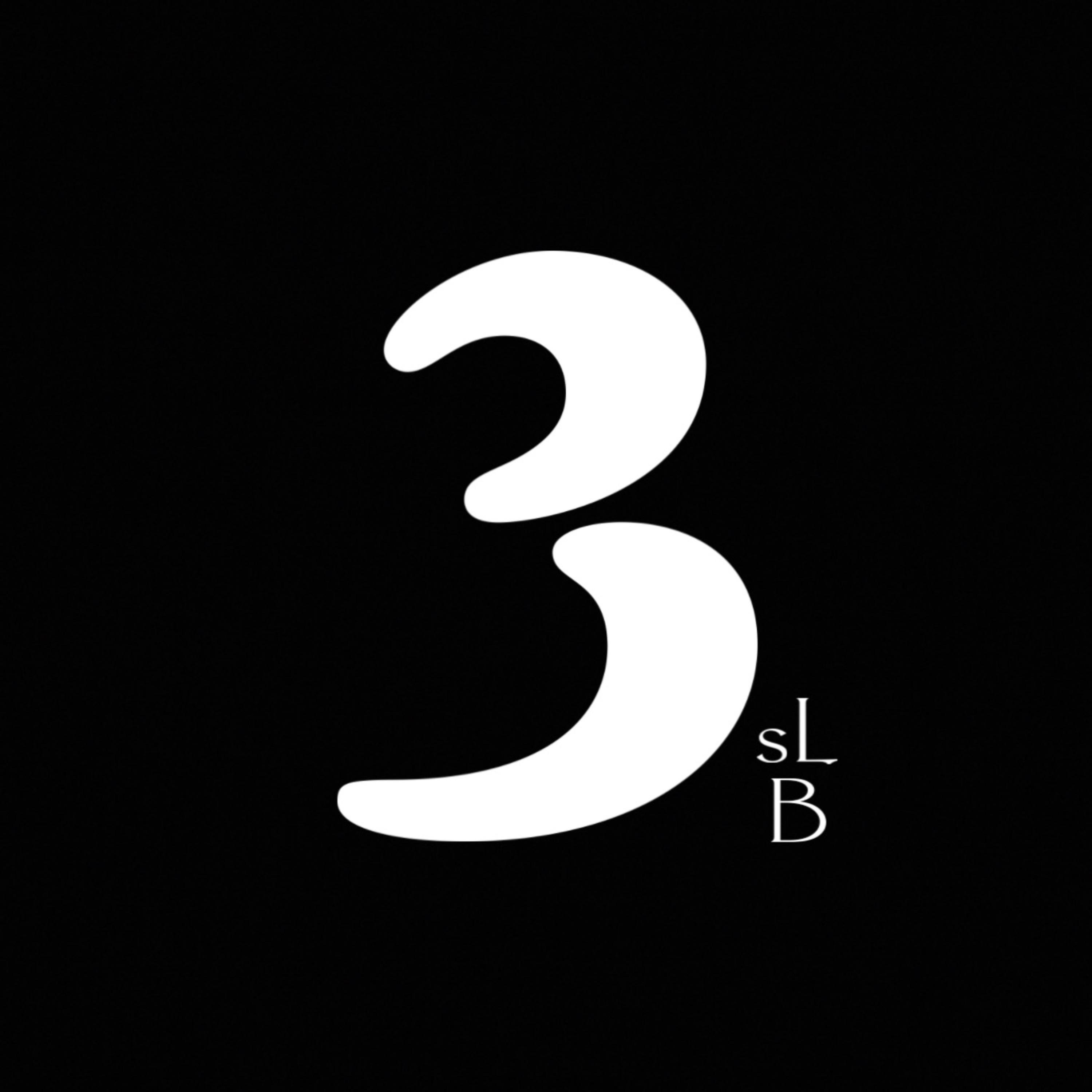 3sLb artwork