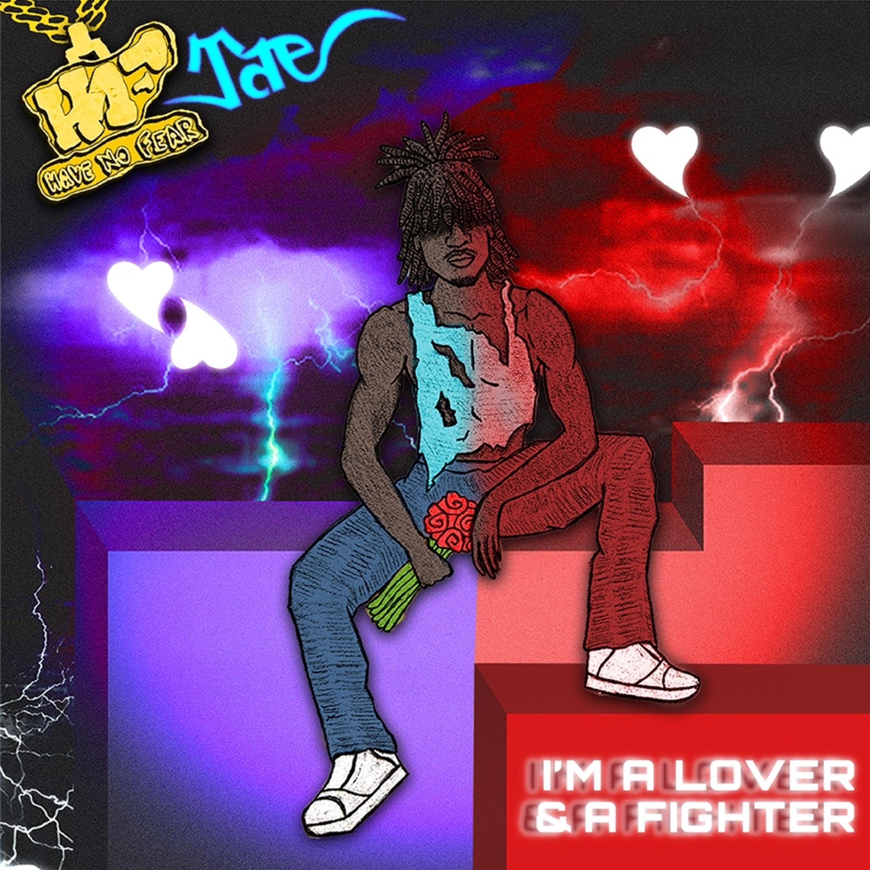 Im A Lover And A Fighter artwork