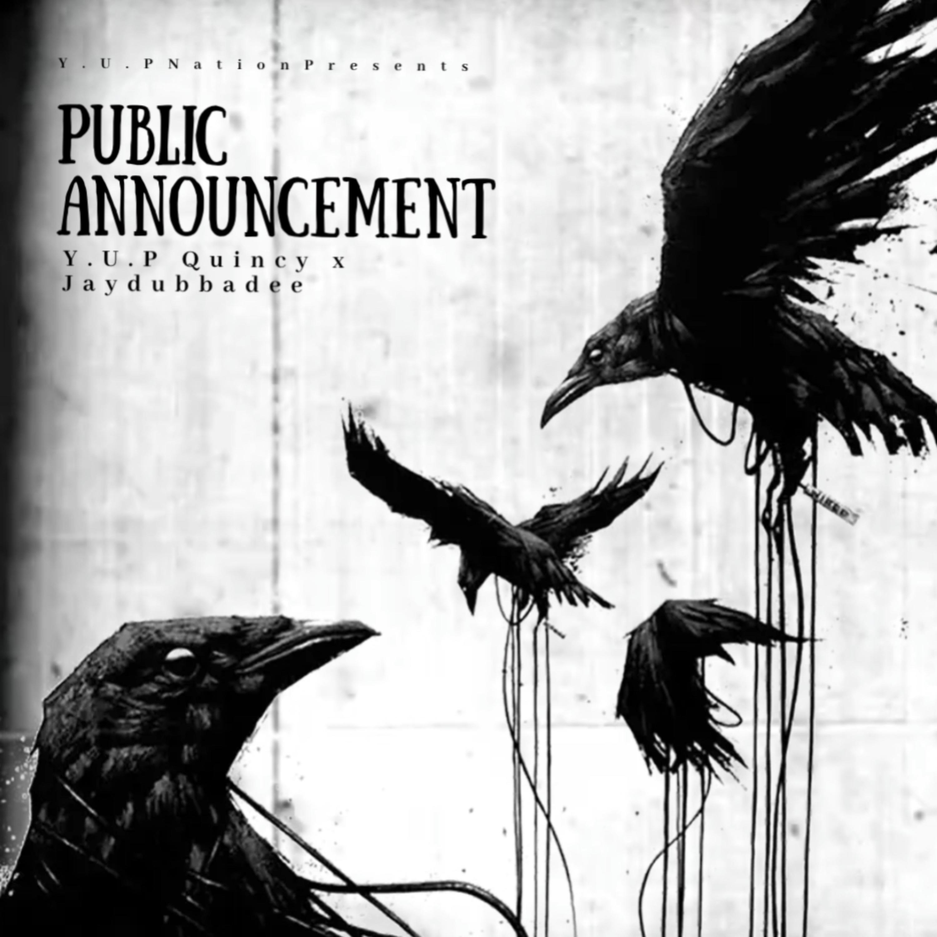 Public Announcement artwork