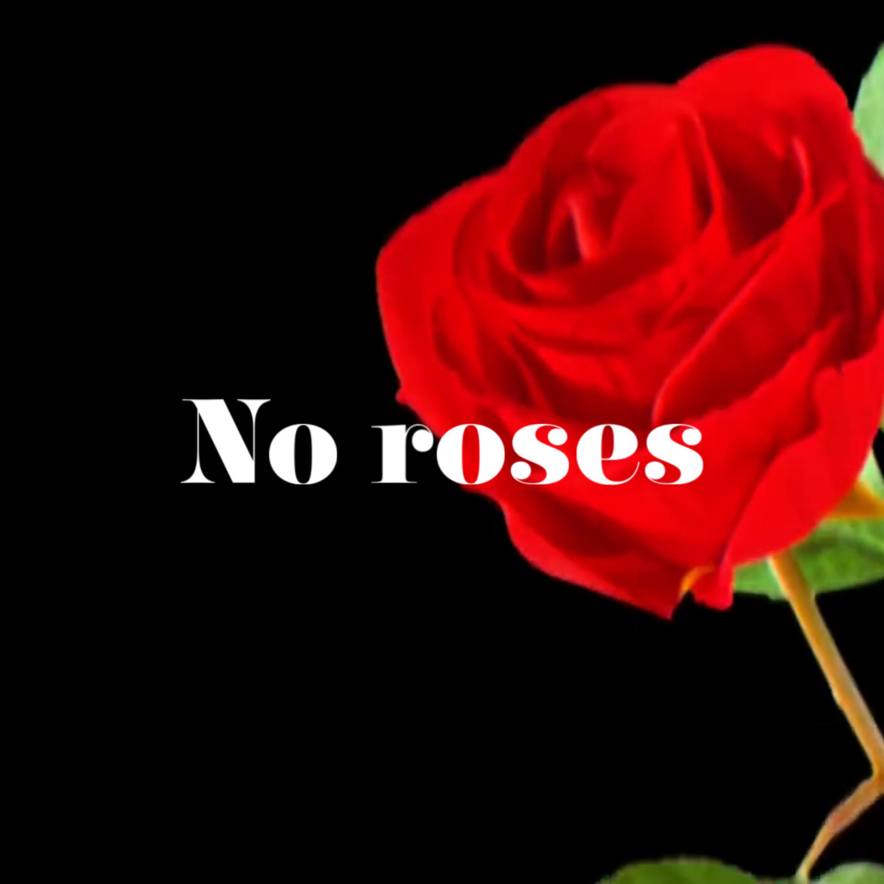 No roses artwork