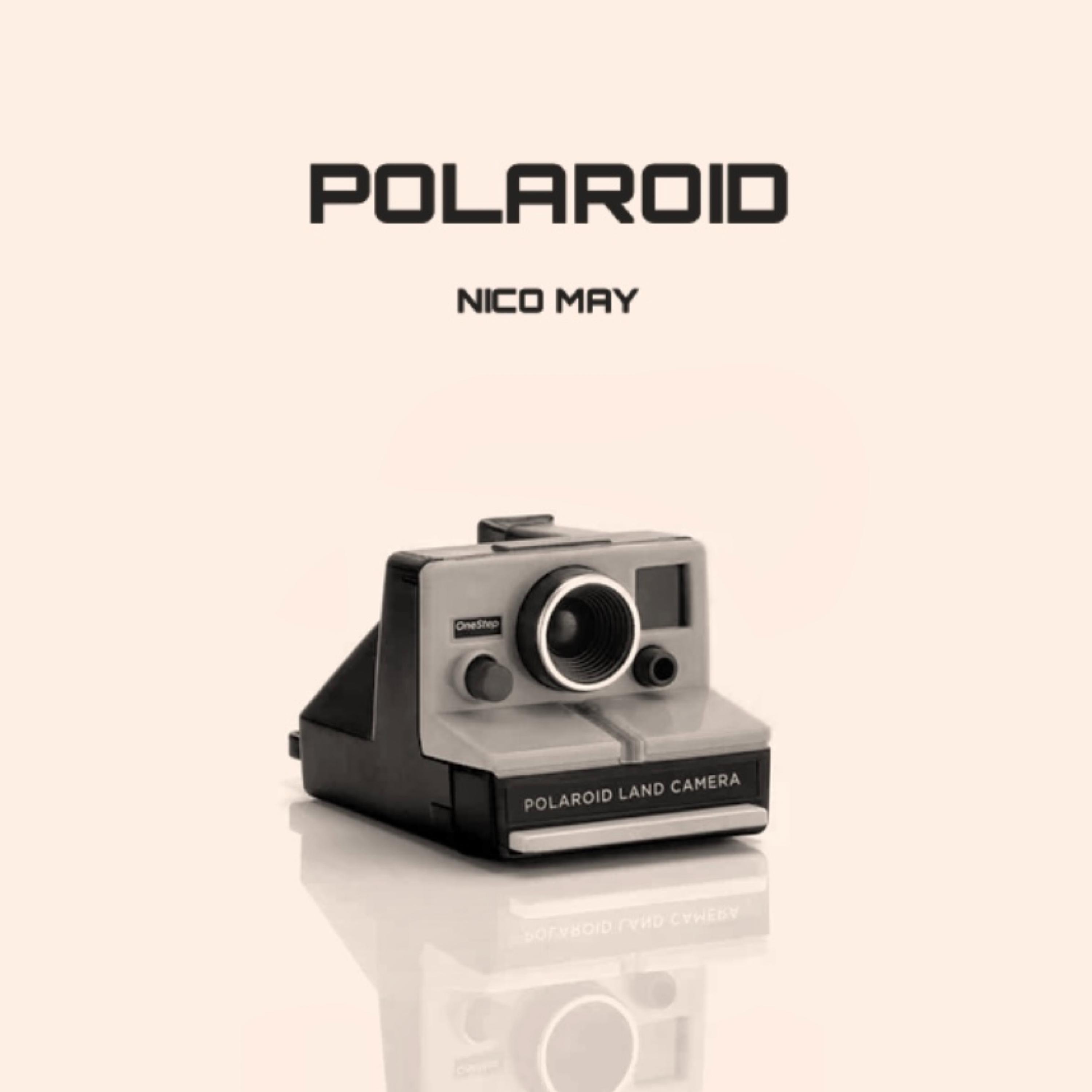 Polaroid artwork