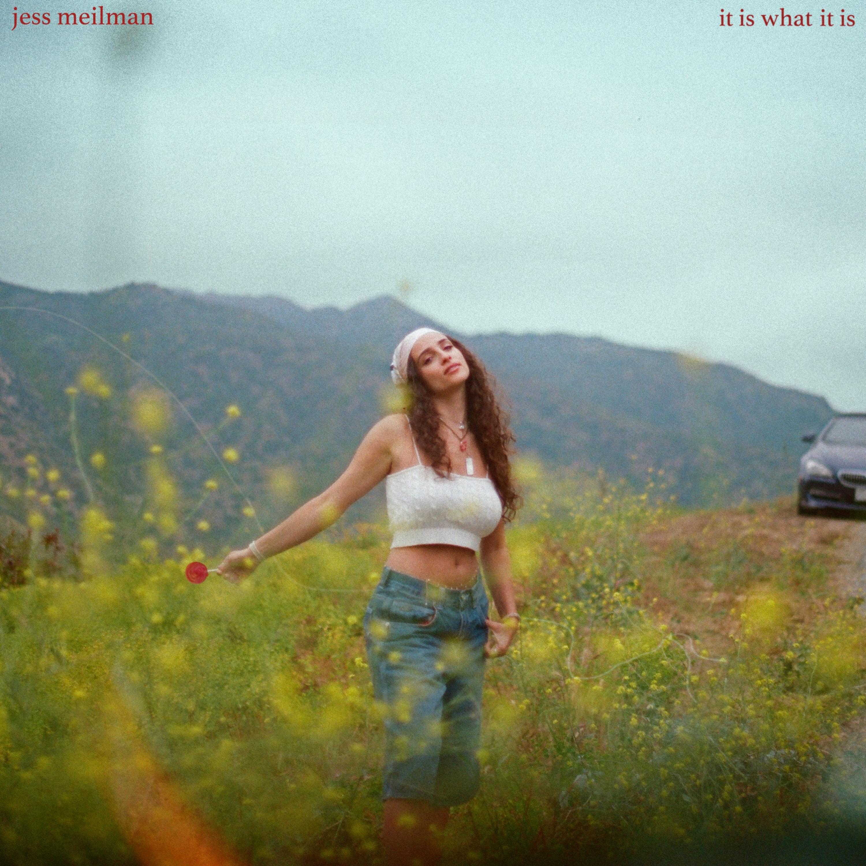 It Is What It Is artwork