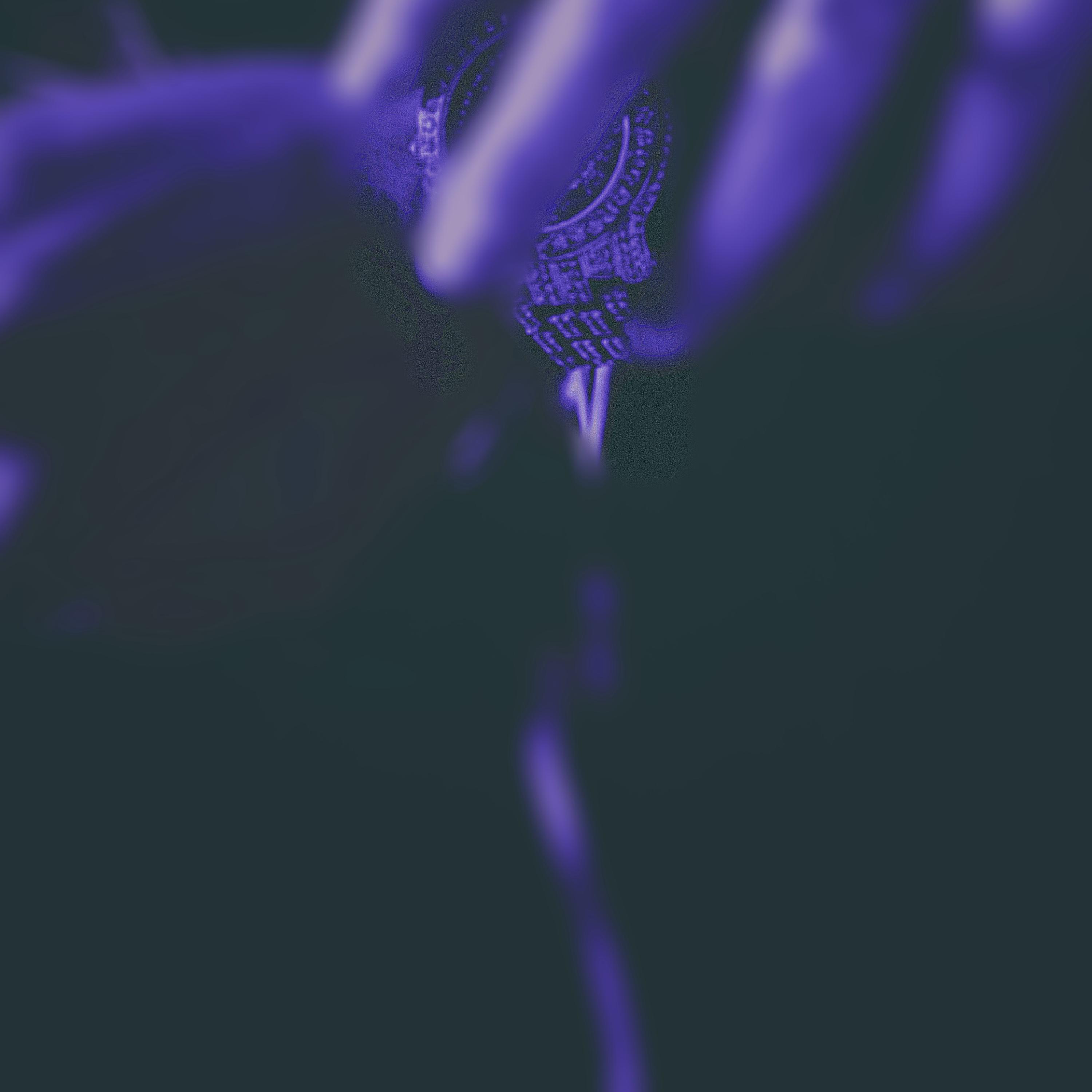 LB Winter Section 1 artwork