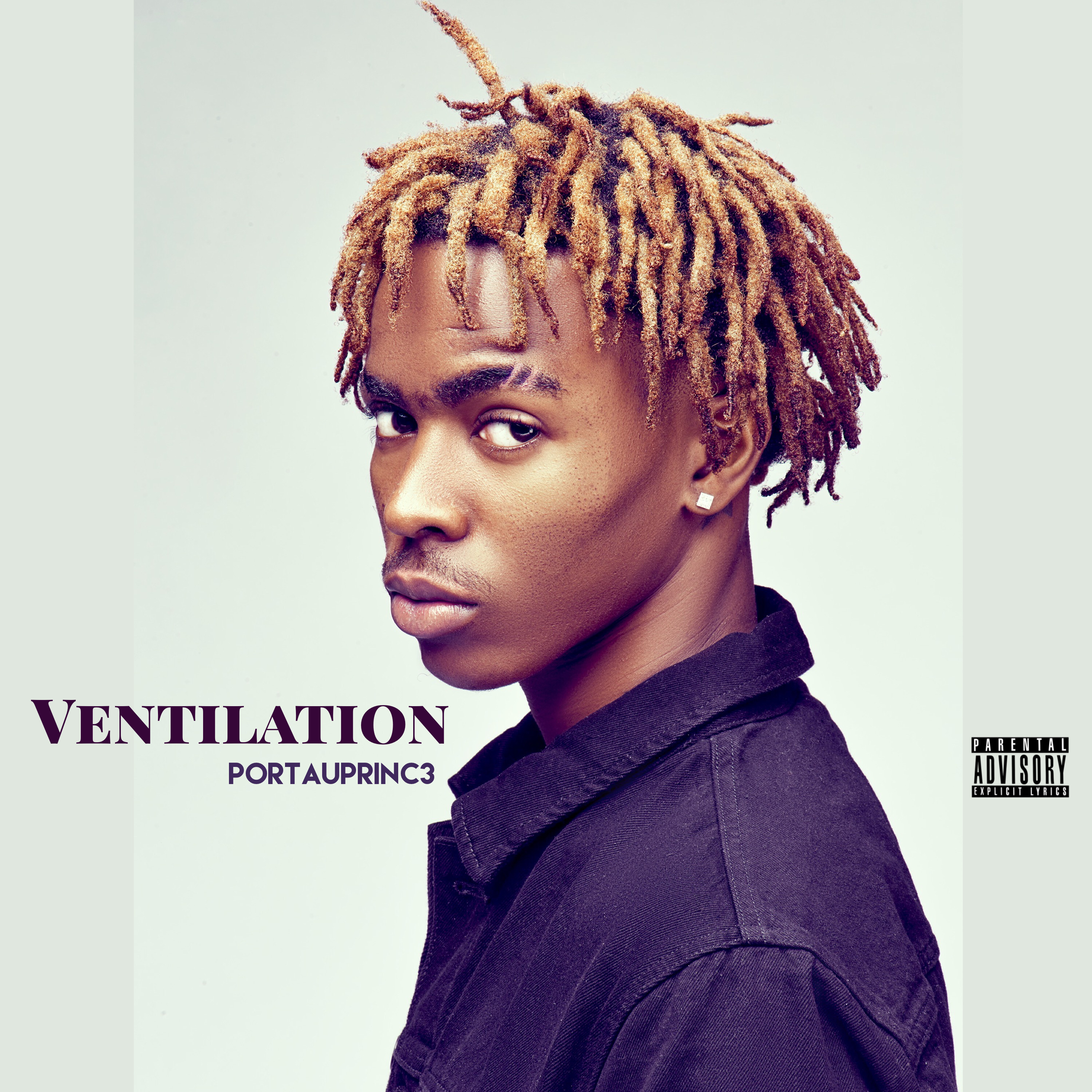 Ventilation artwork