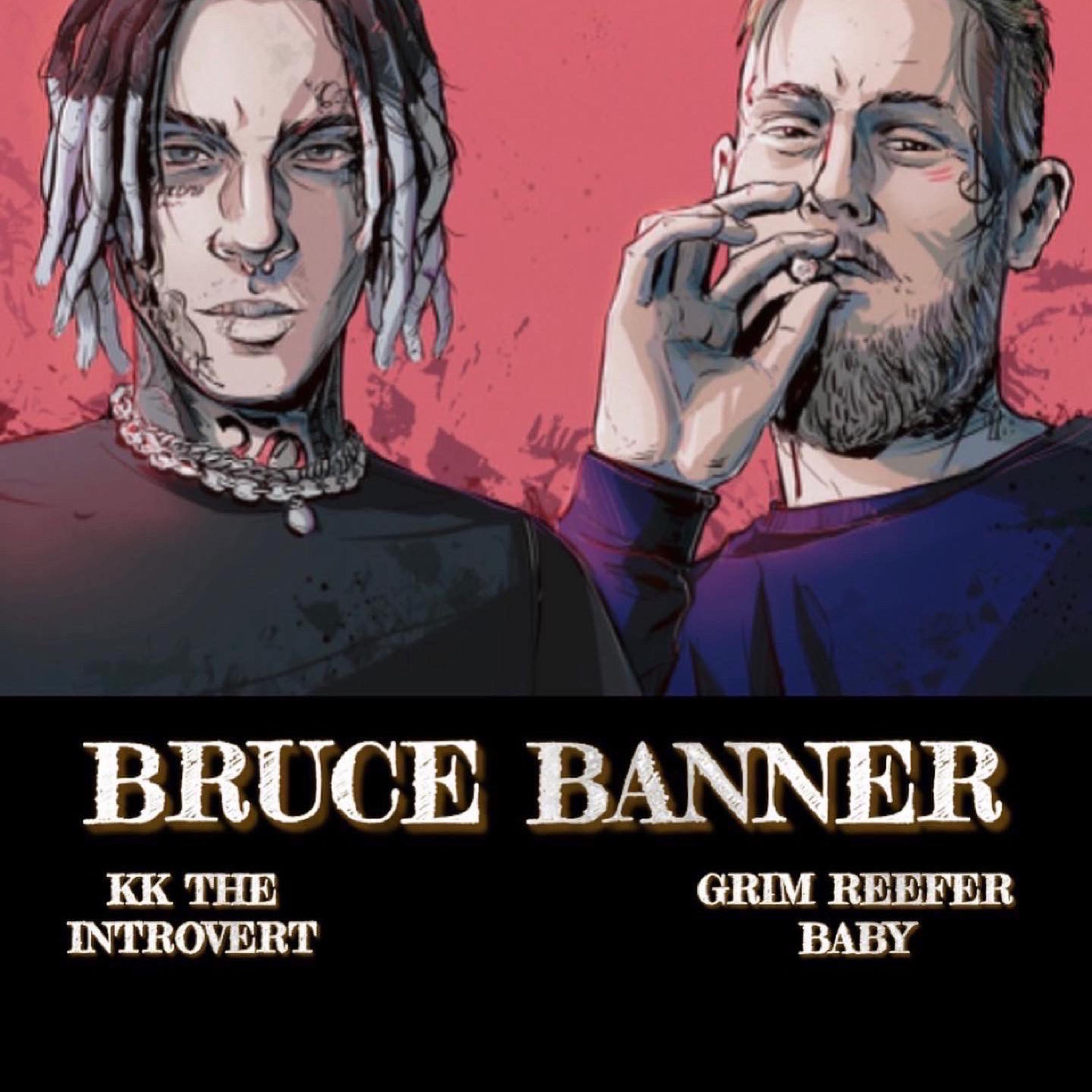 Bruce Banner artwork