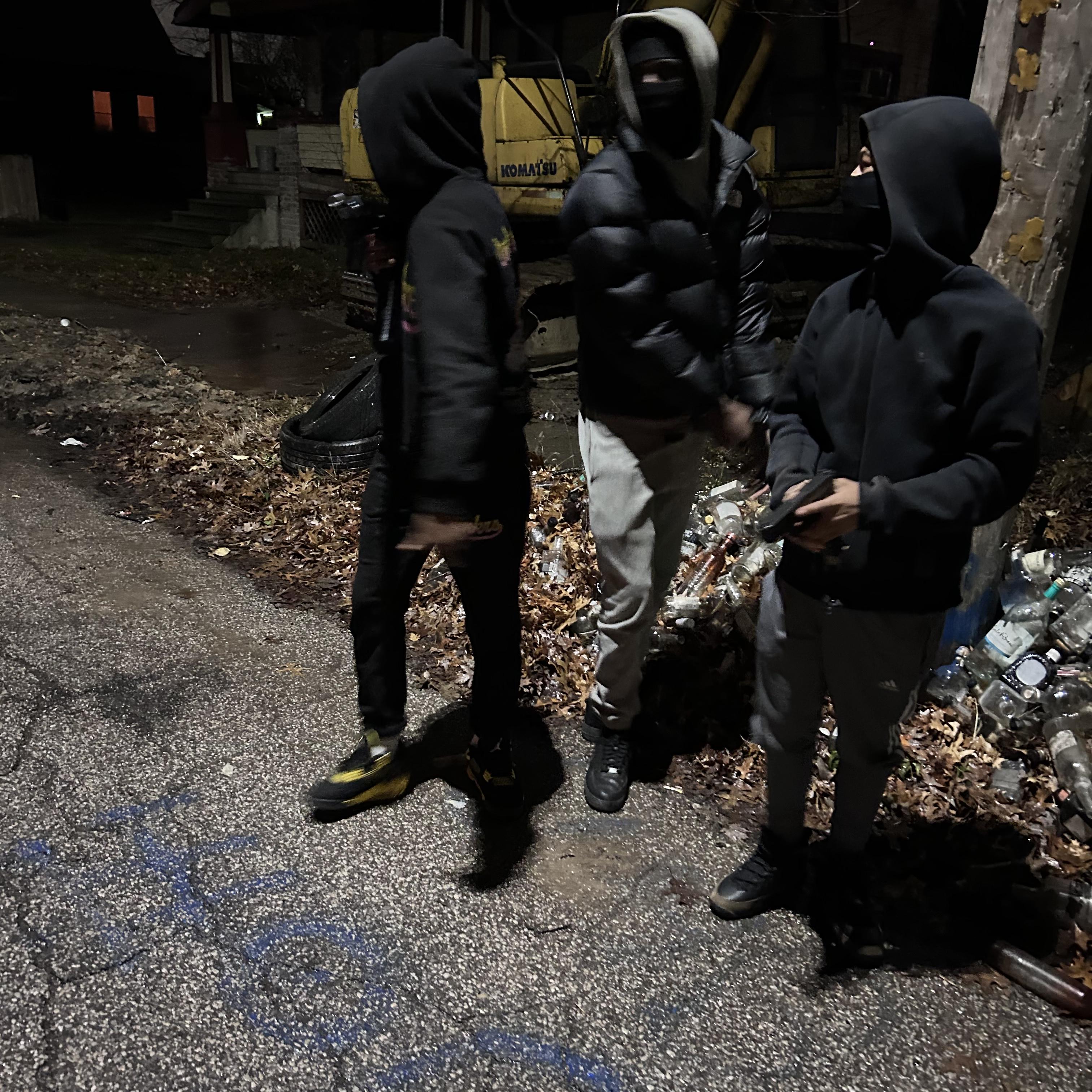 Laid Belt by Lilchasinn cover art